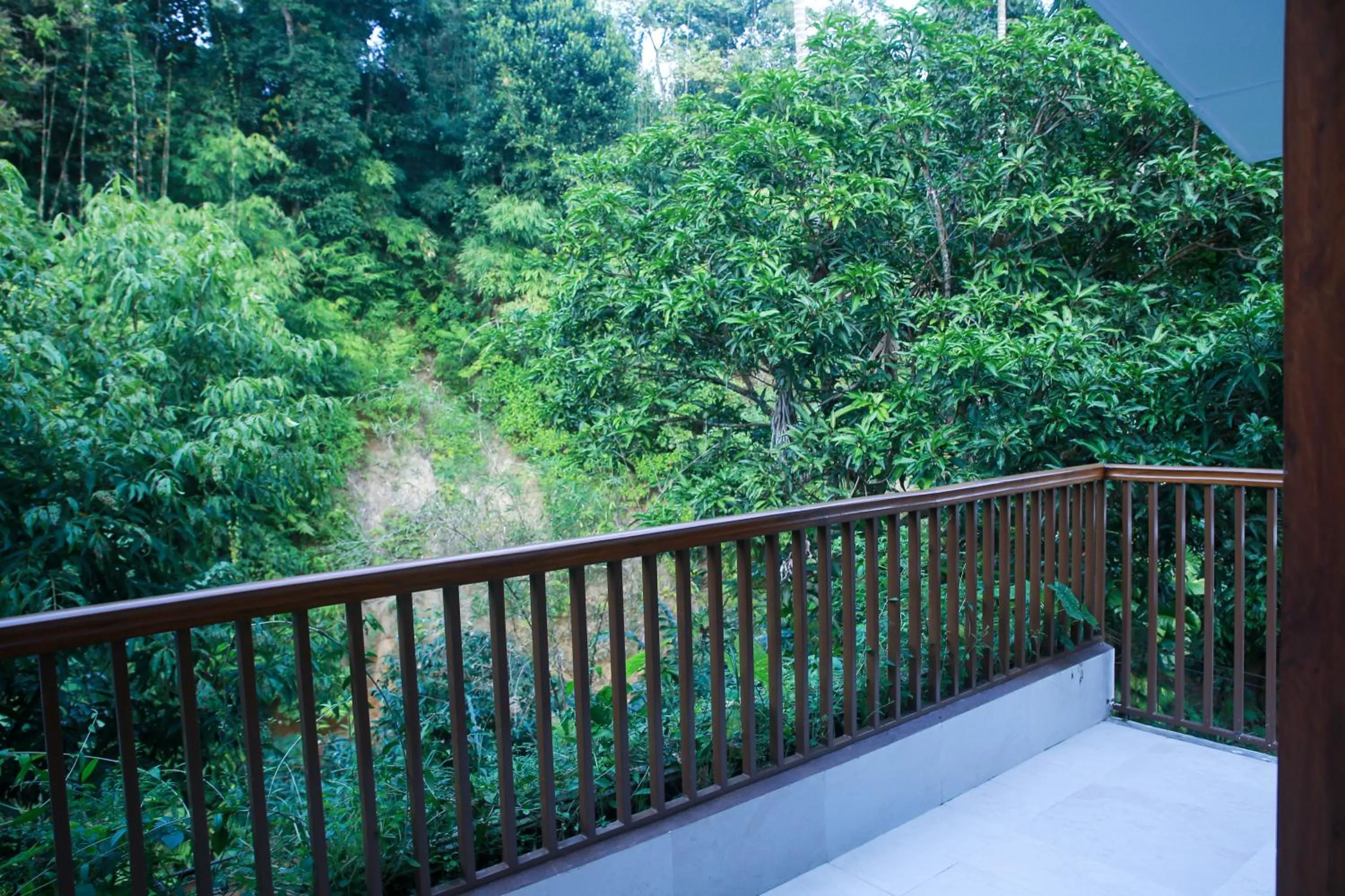 Balcony/Terrace in Balishira Resort Ltd.