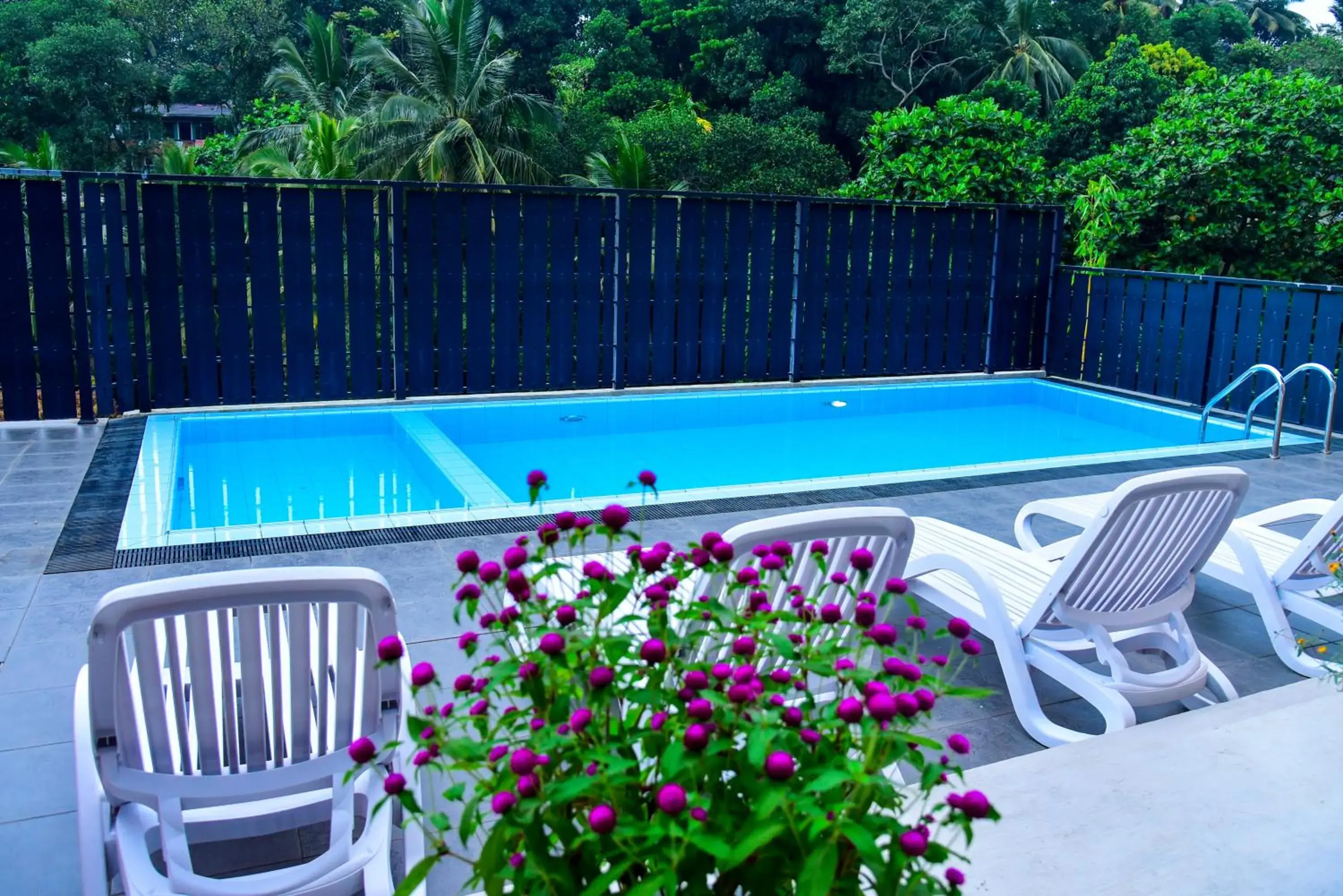 Swimming pool in Pine Hill Residence Swimming pool in Pine Hill Residence