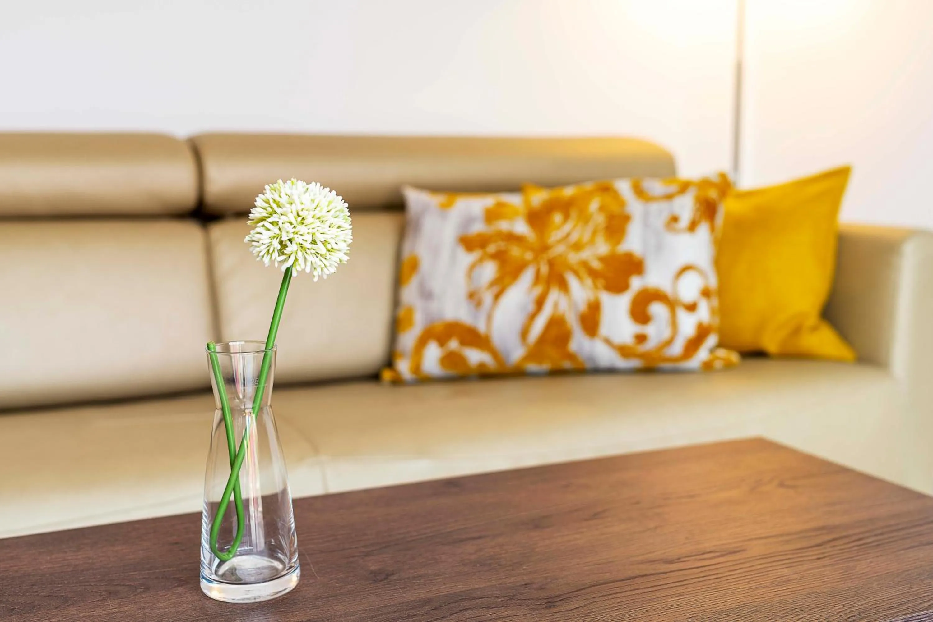 Hotel Paradise Residencial