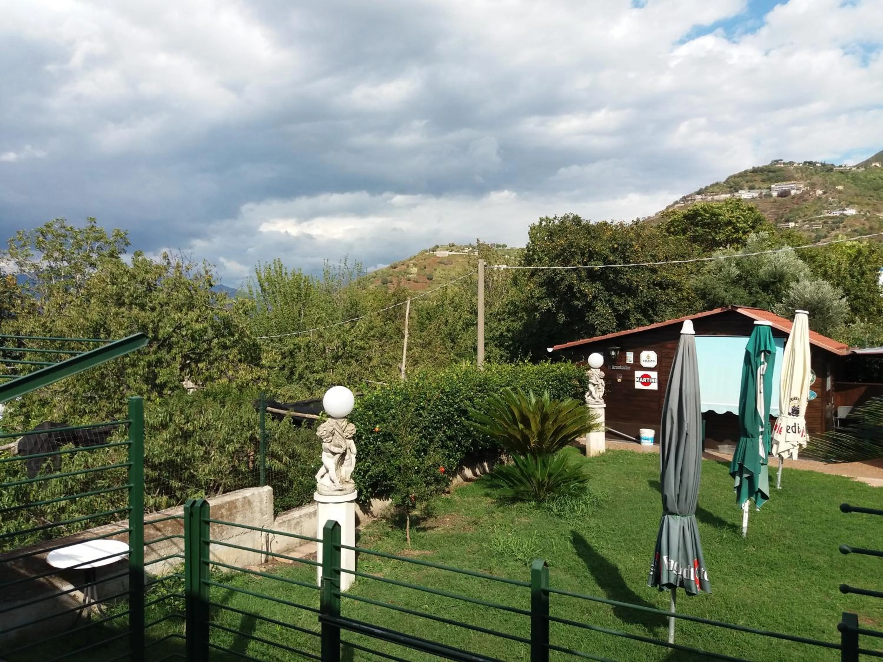 Garden in Villa Mola Bed And Breakfast