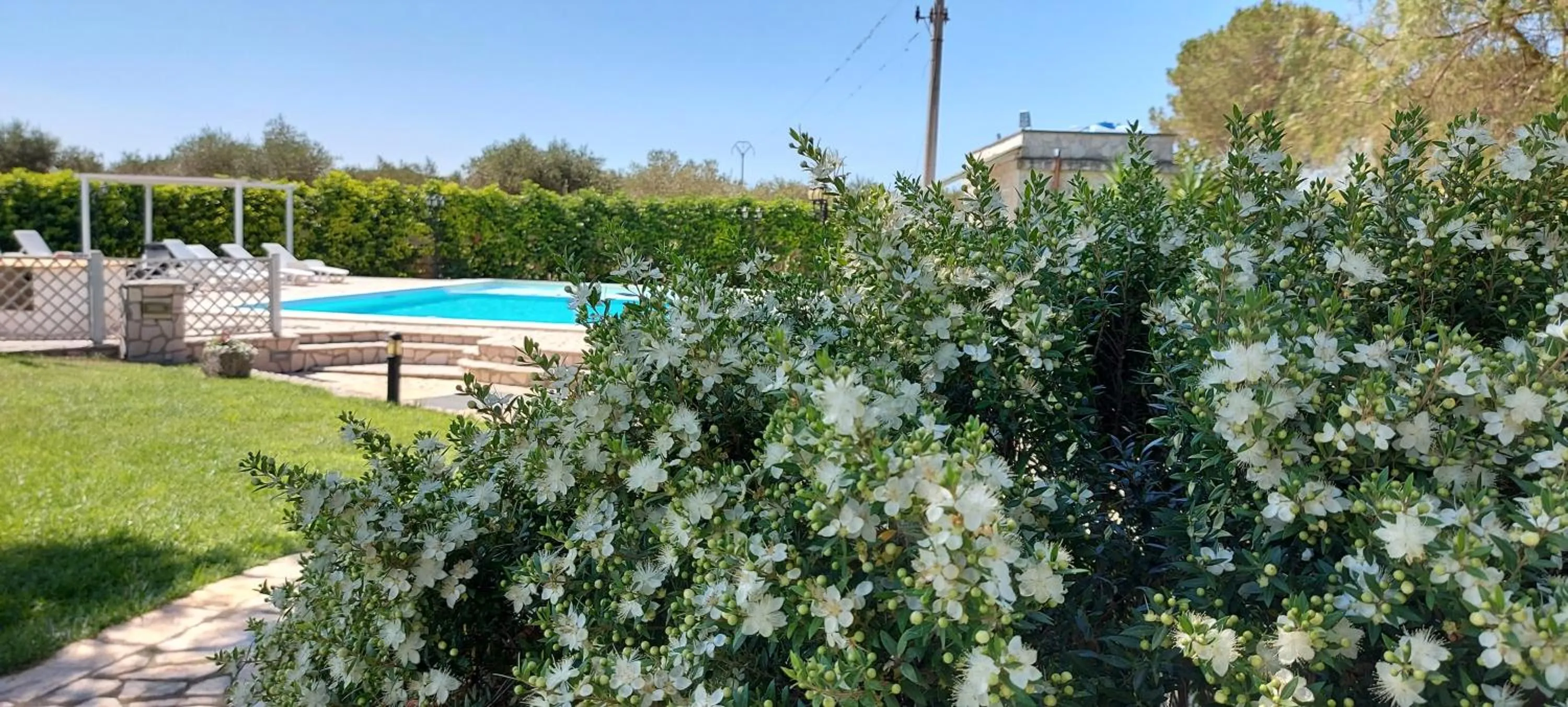 Masseria San Nicola B&B