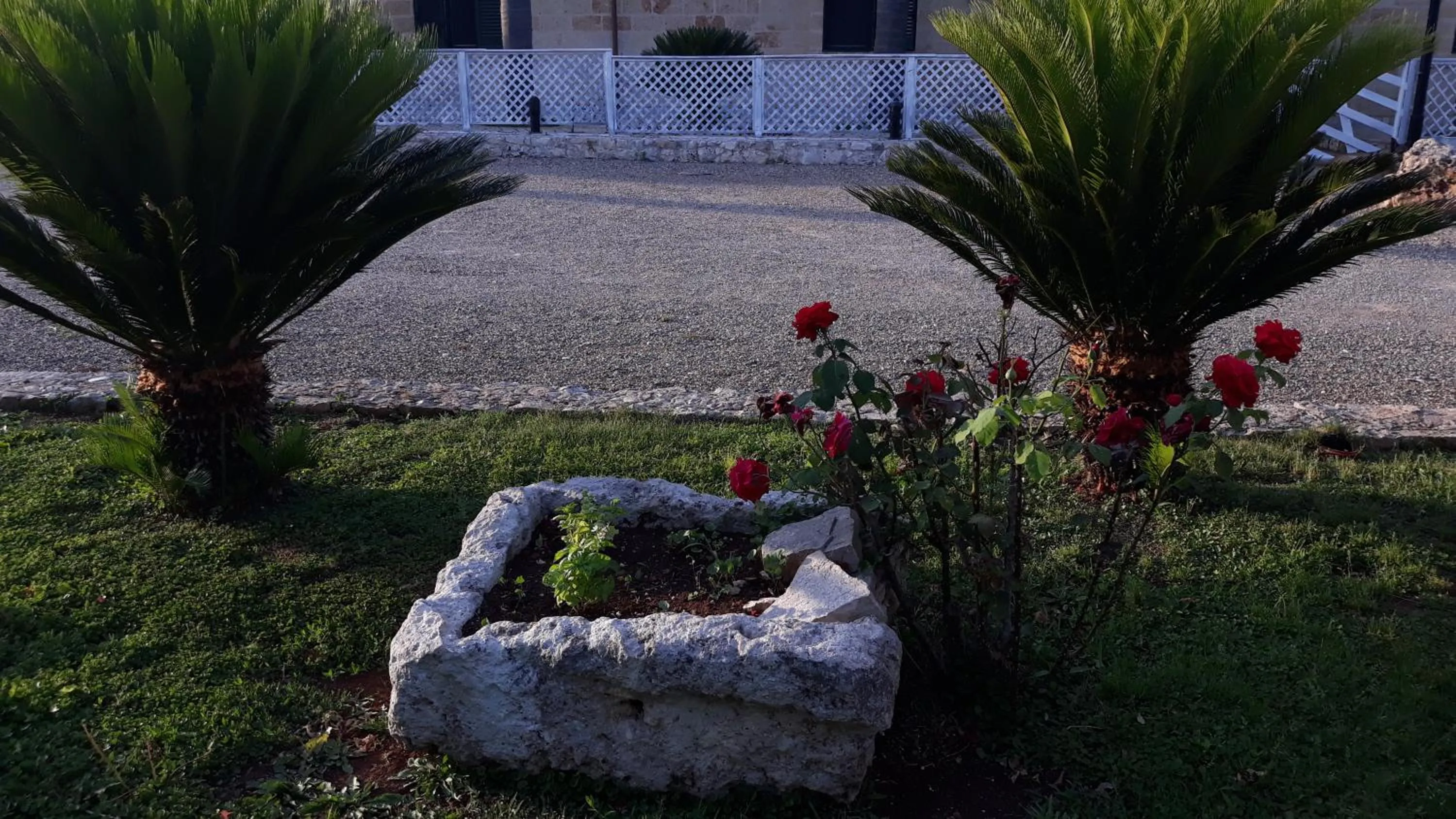 Garden in Masseria San Nicola B&B