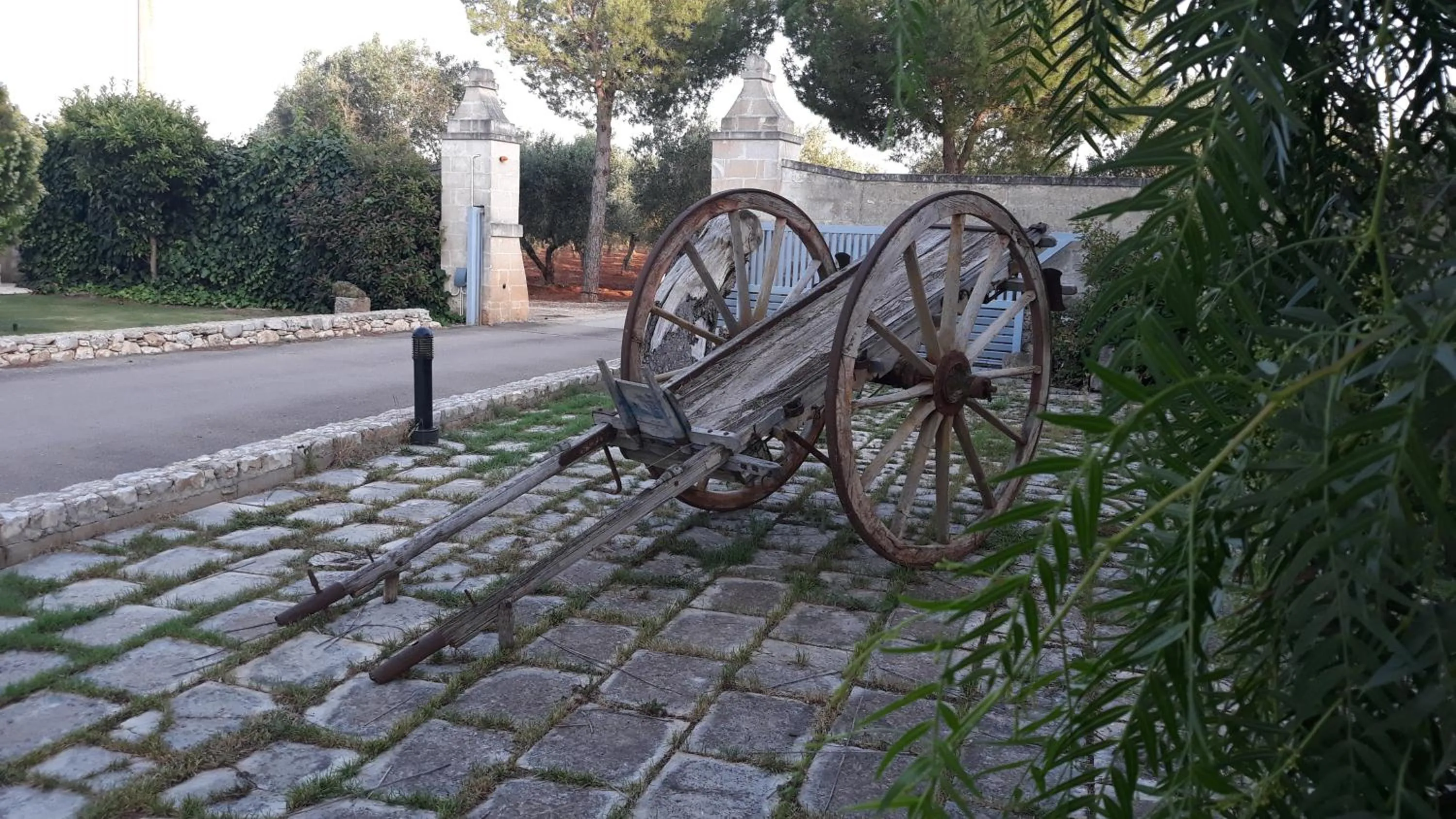 Garden in Masseria San Nicola B&B