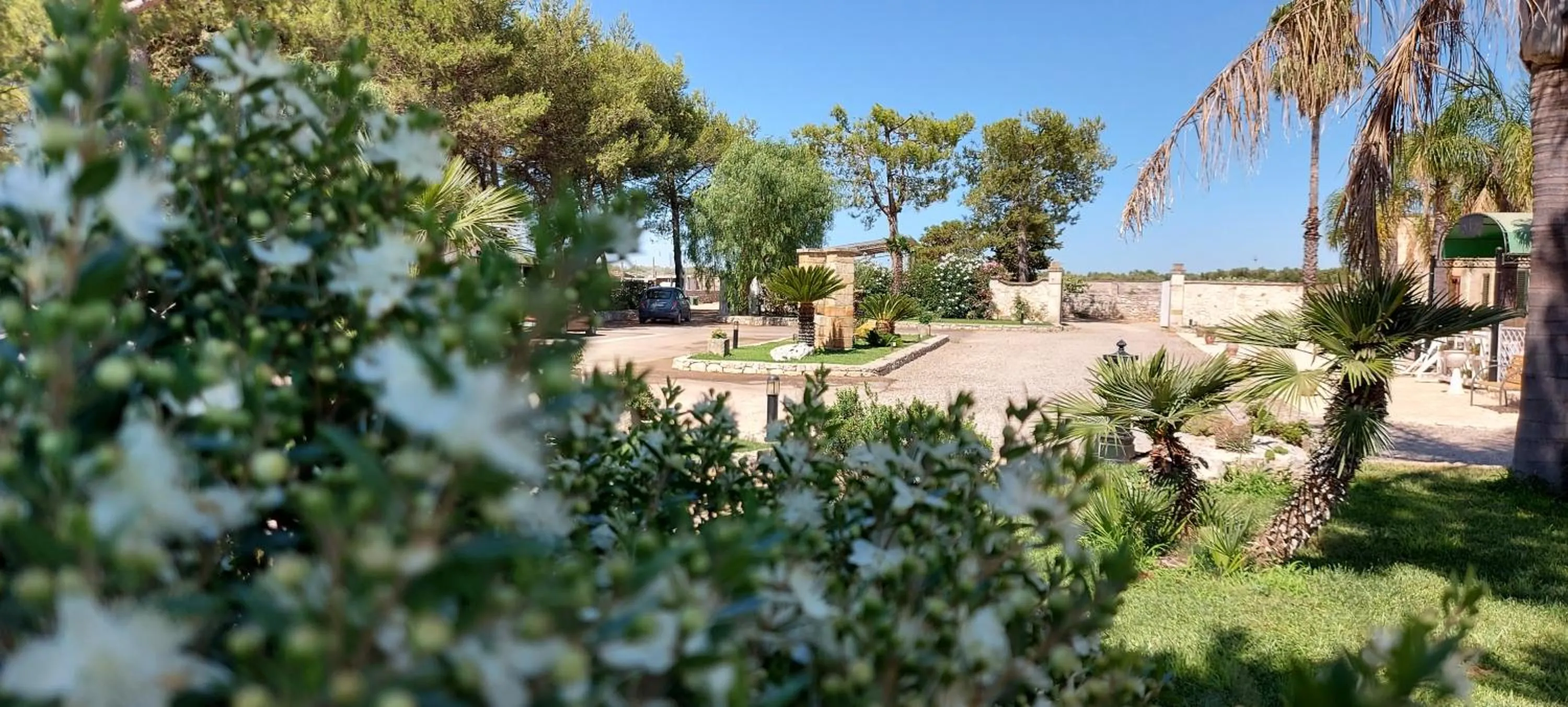 Masseria San Nicola B&B