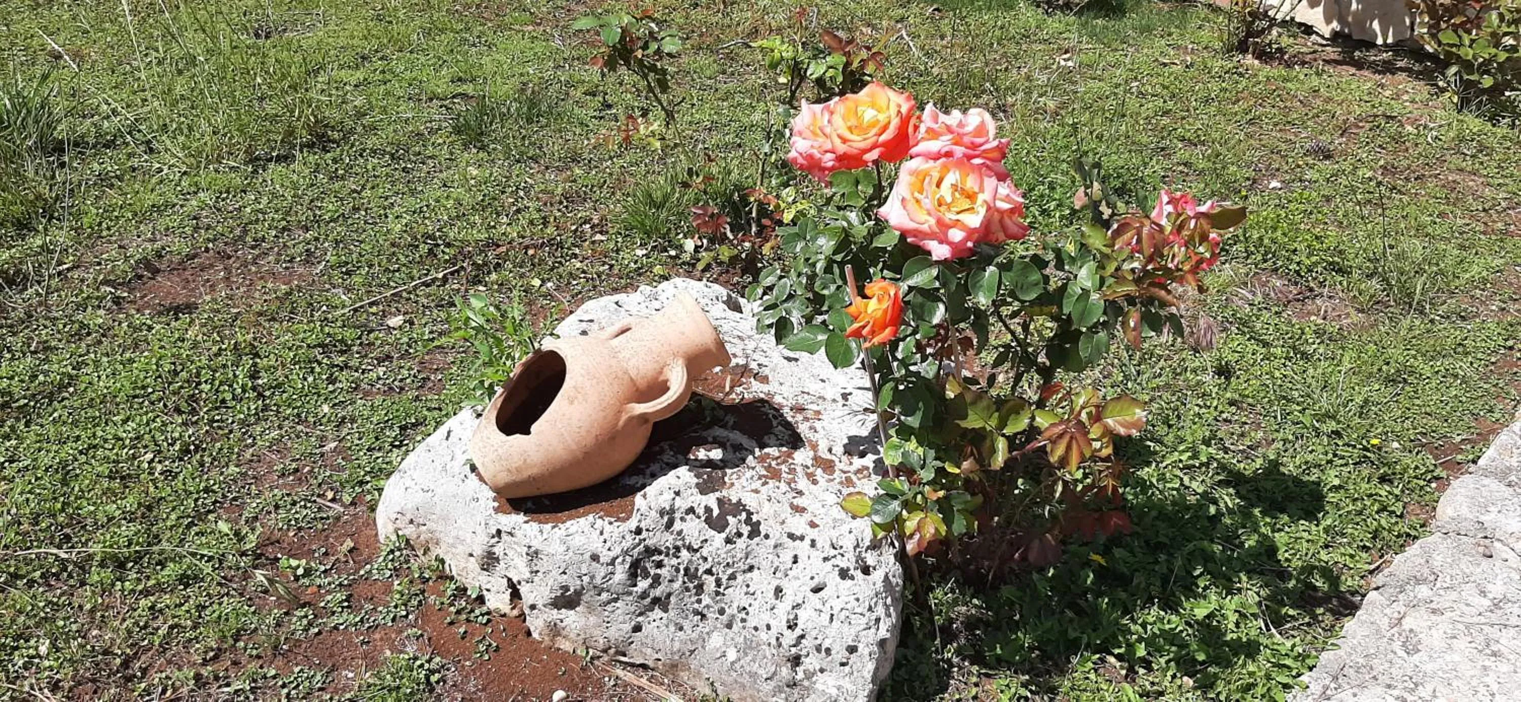 Masseria San Nicola B&B