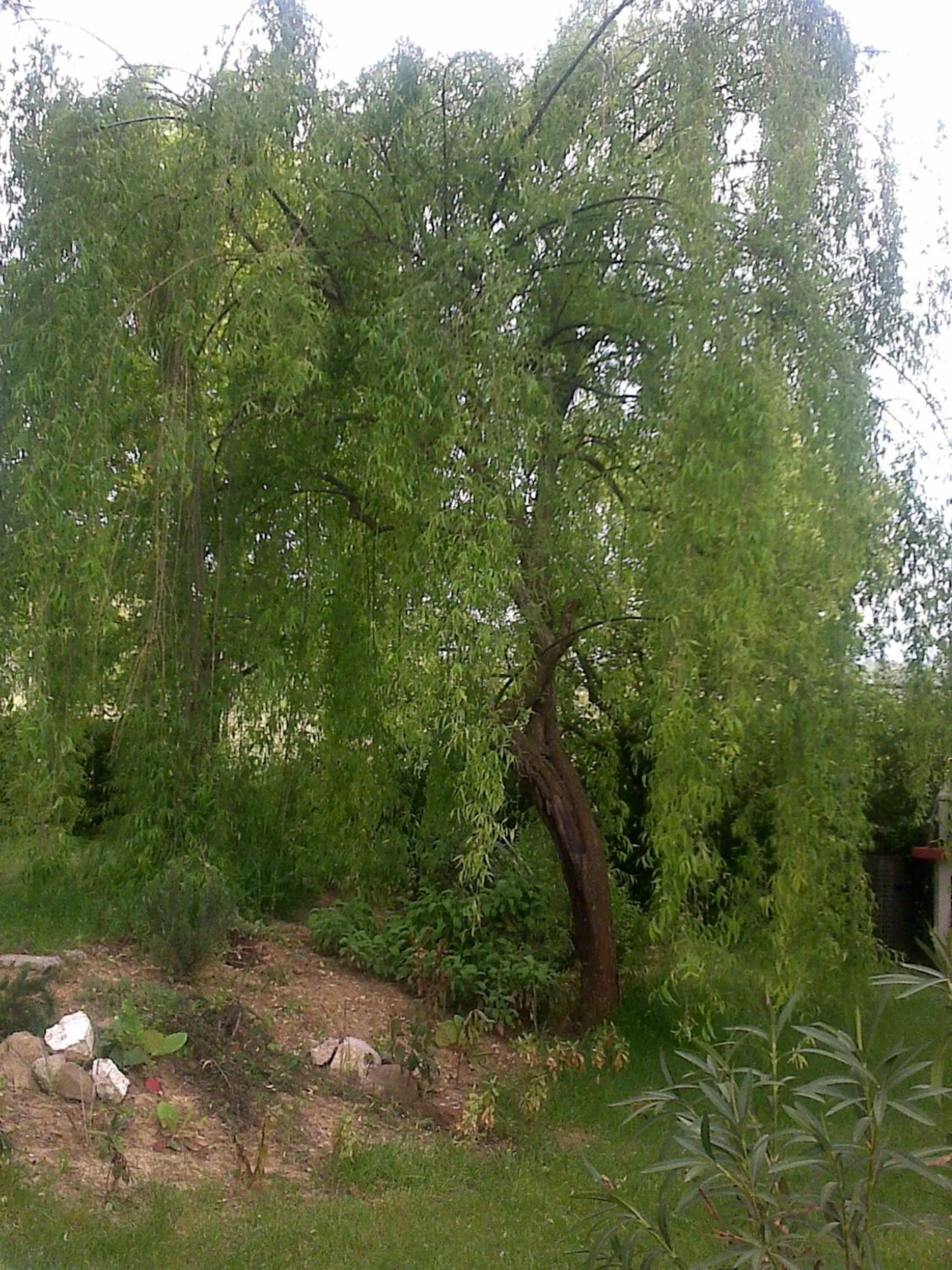 Artisti Del Cavallo Tourism