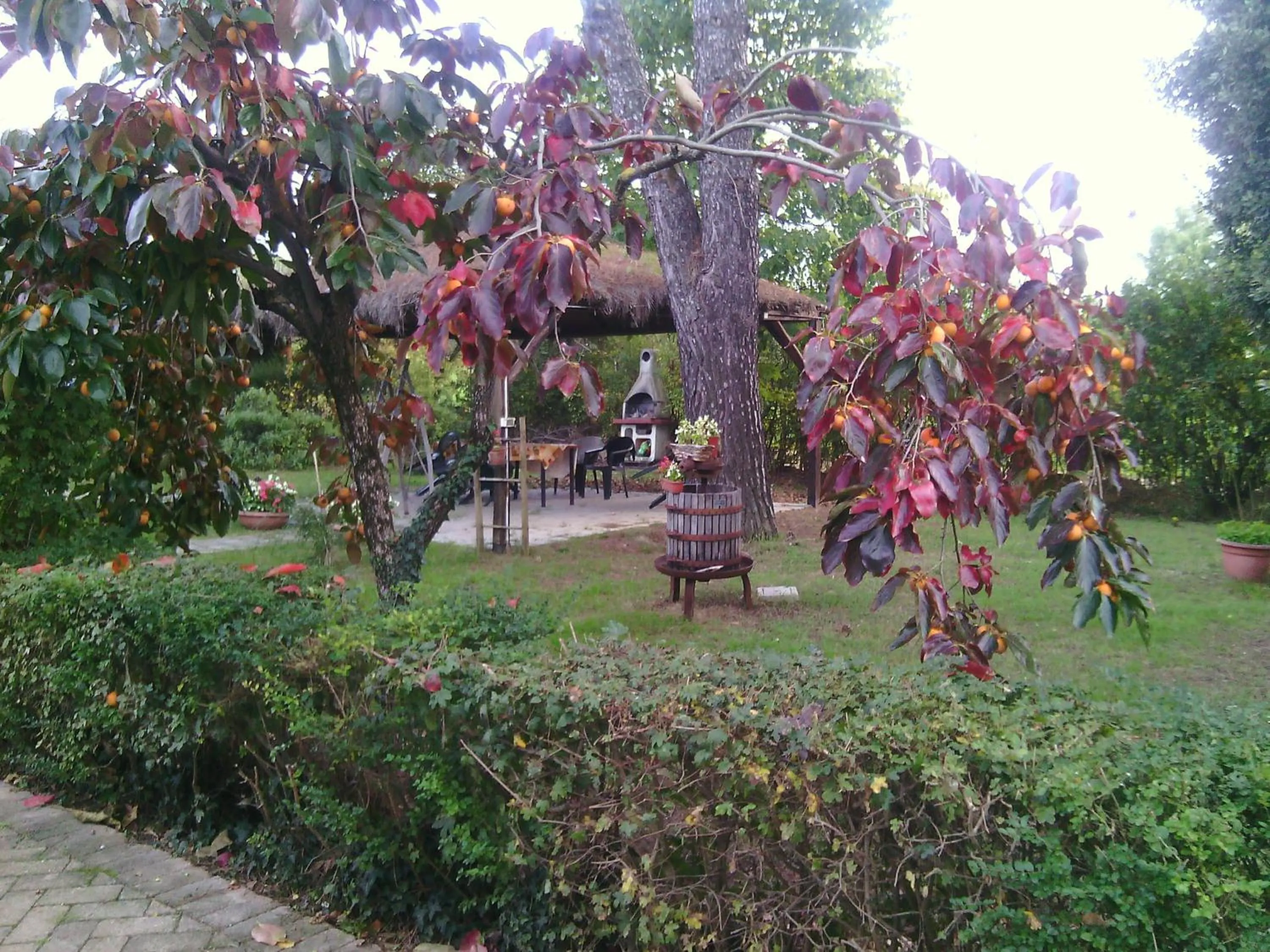 Artisti Del Cavallo Tourism