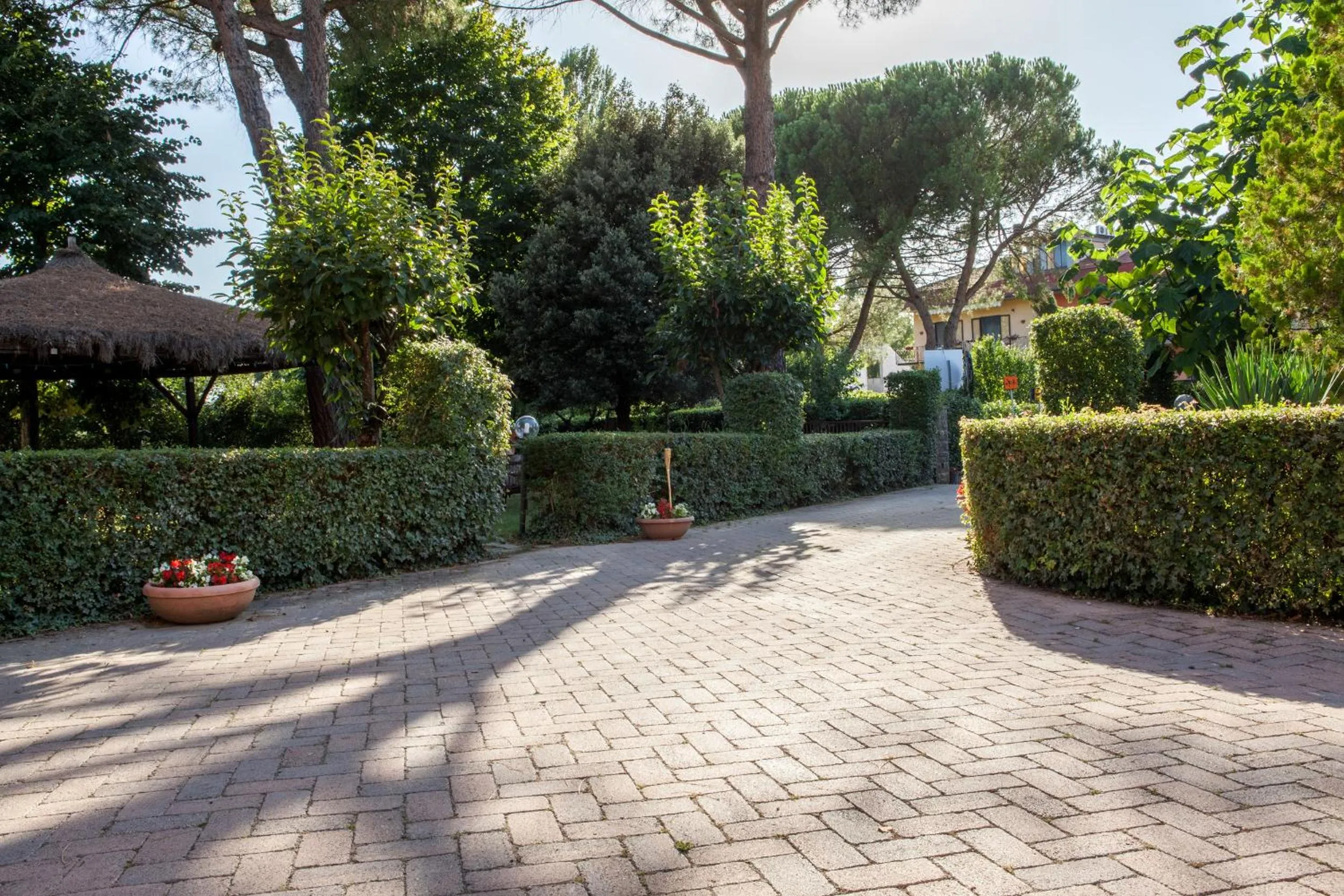 Artisti Del Cavallo Tourism