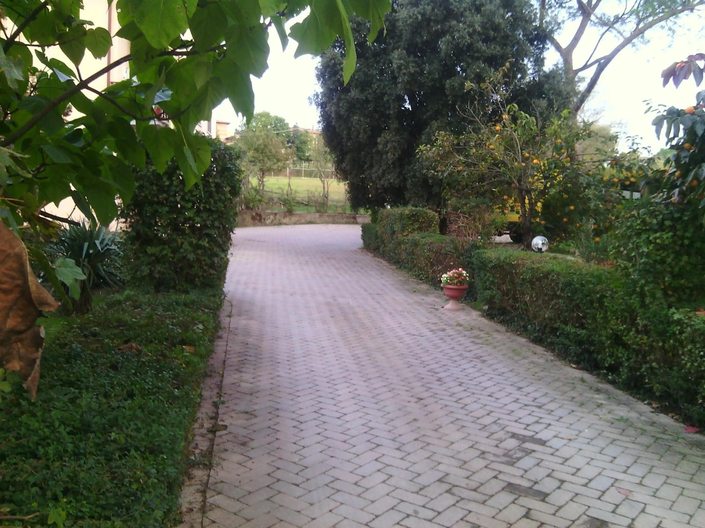 Artisti Del Cavallo Tourism