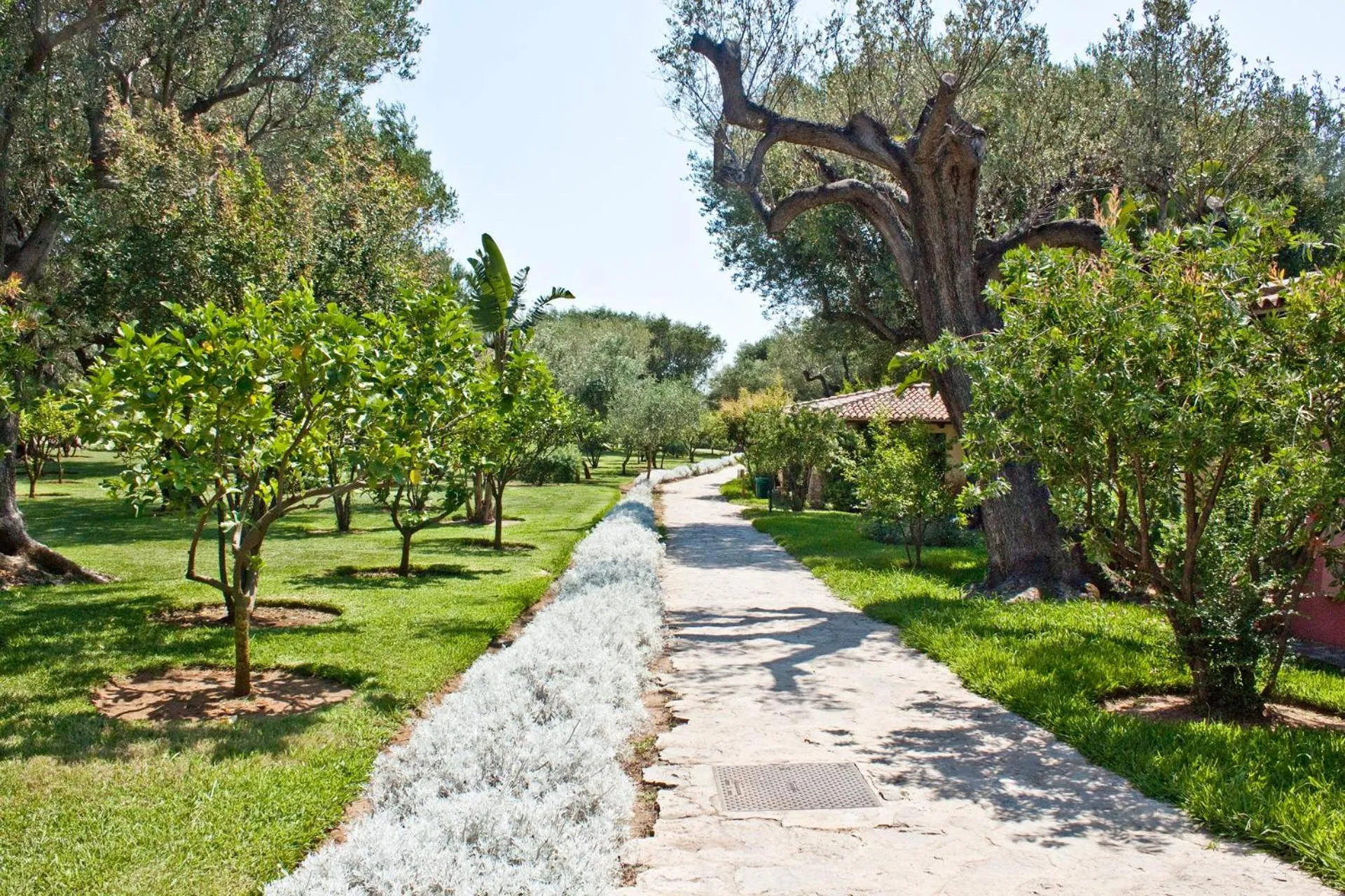 Garden view in Happy Village