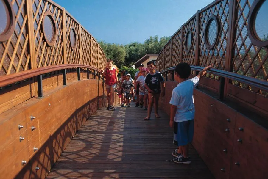 Day in Happy Village