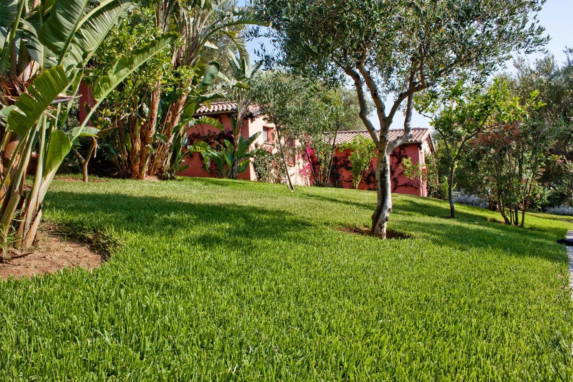 Day in Happy Village