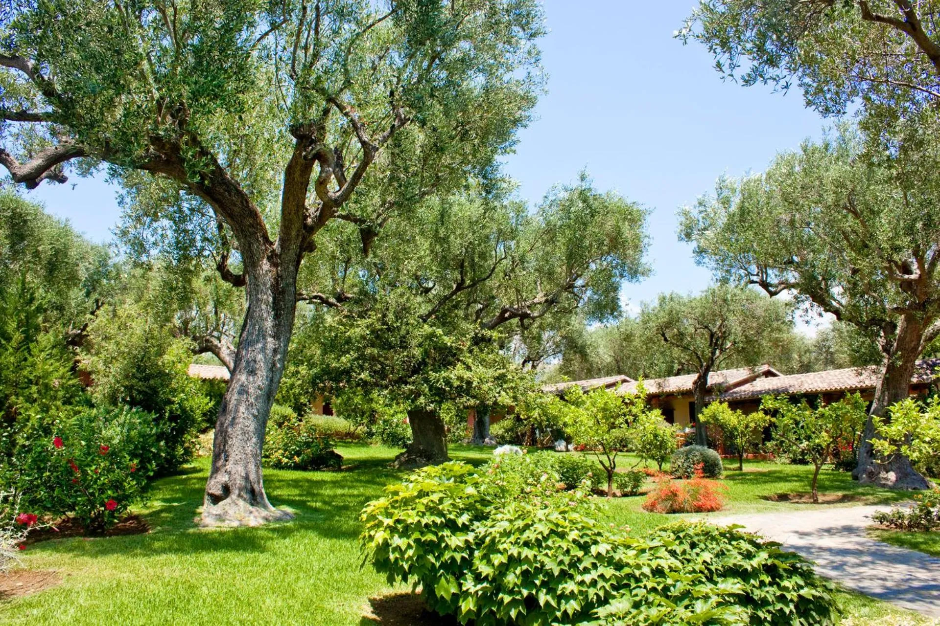 Garden view in Happy Village