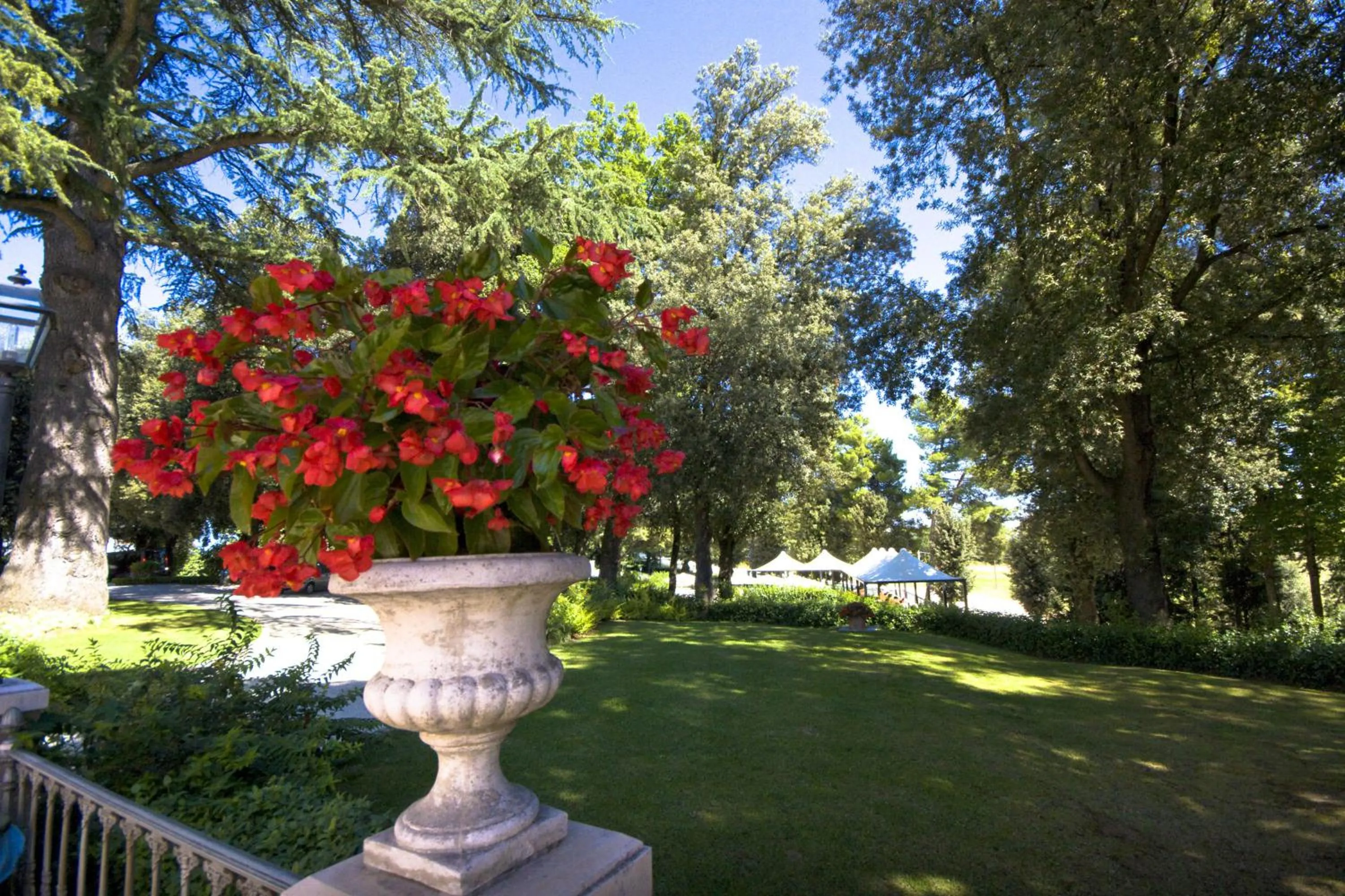 Decorative detail in Hotel Villa Verdefiore