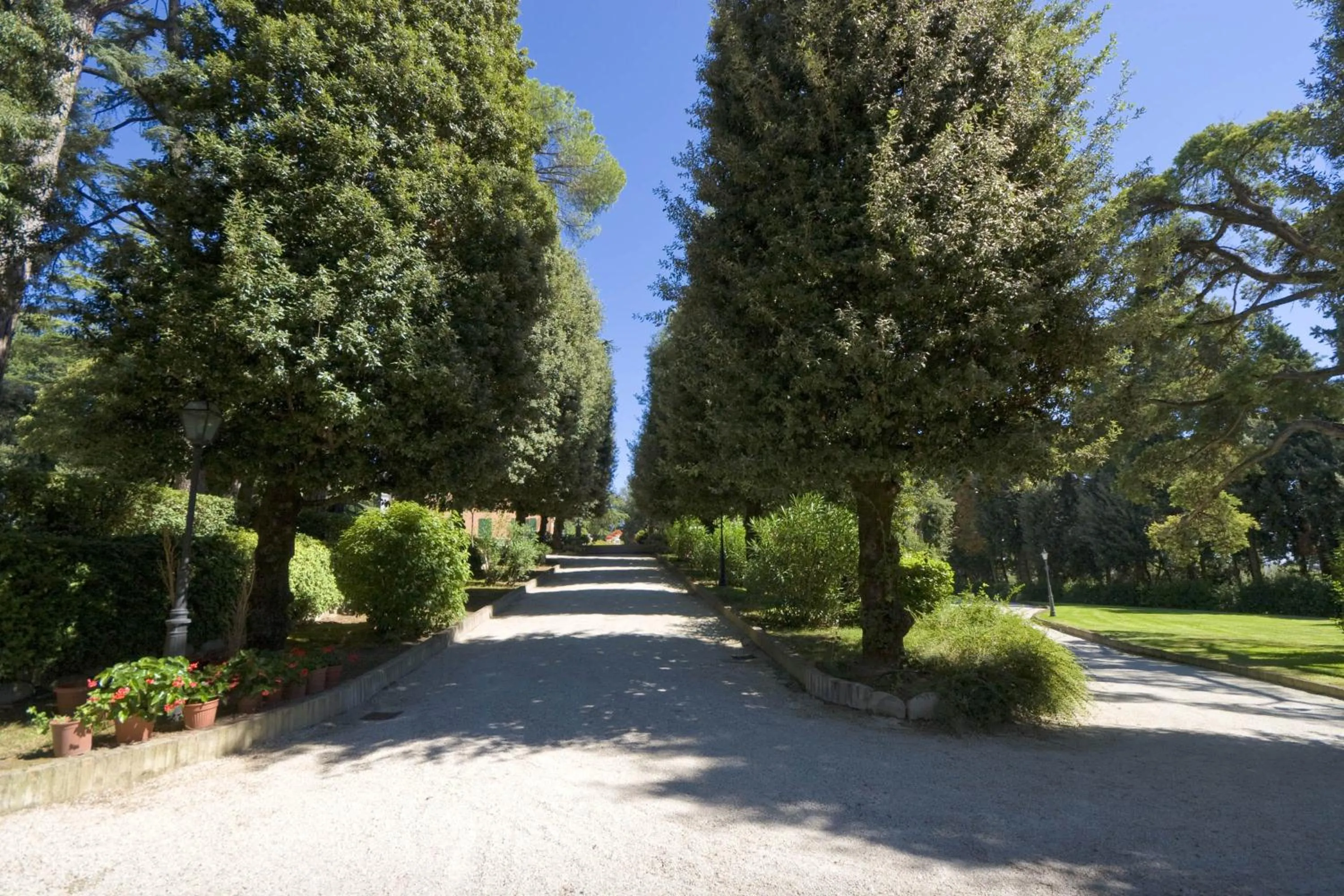 Garden in Hotel Villa Verdefiore
