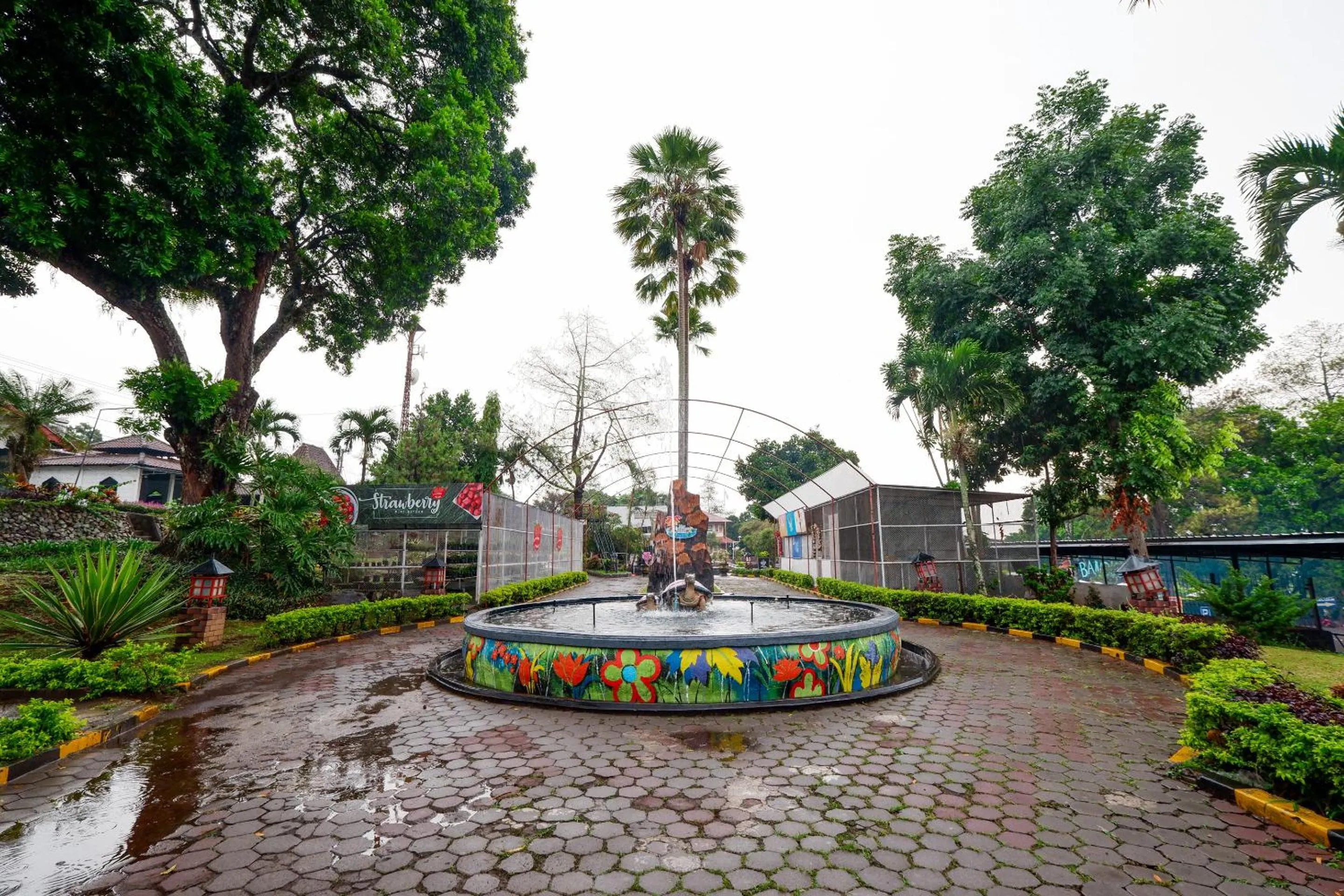 Garden in SUPER OYO Capital O 1808 New Bandungan Indah