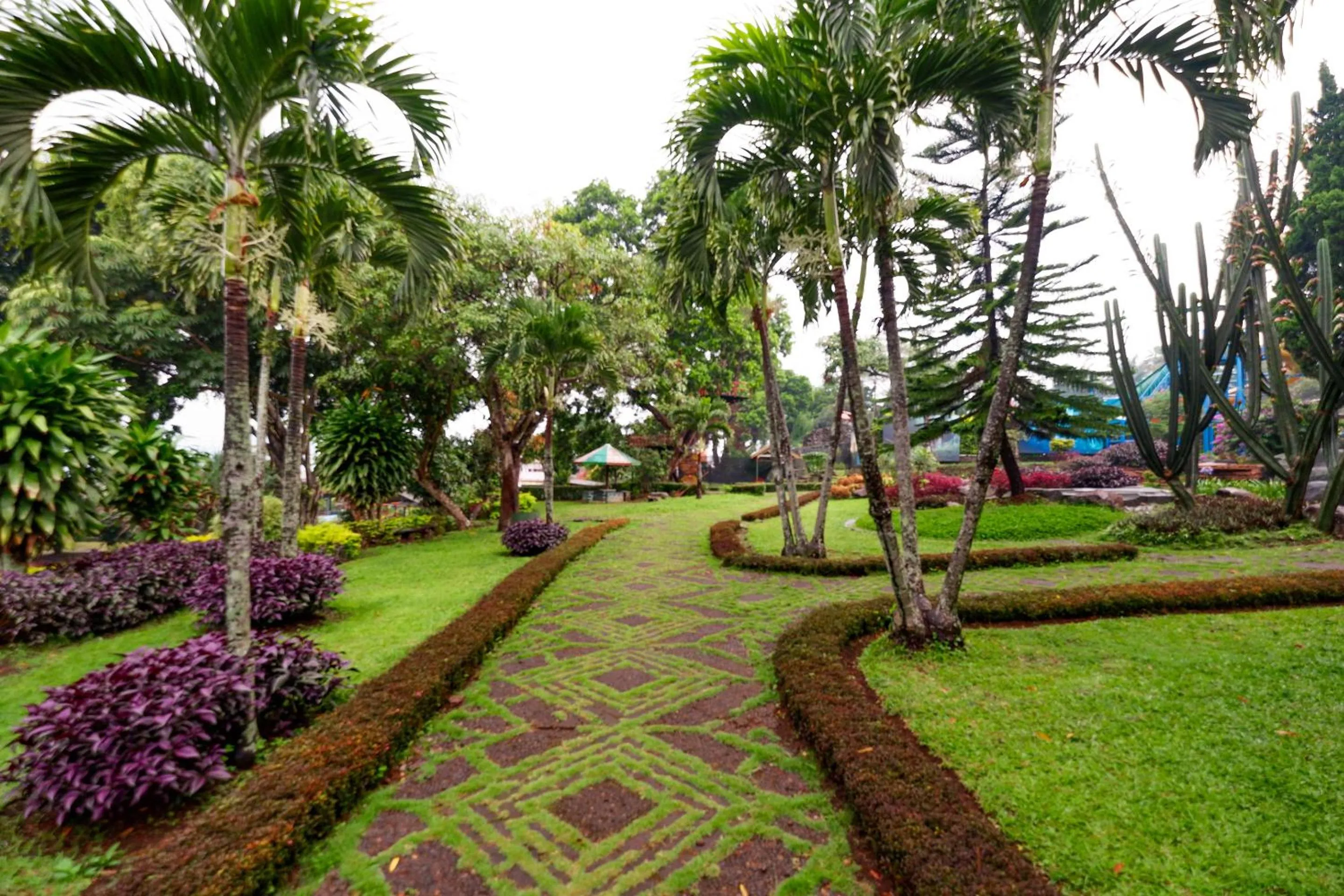 Garden in SUPER OYO Capital O 1808 New Bandungan Indah