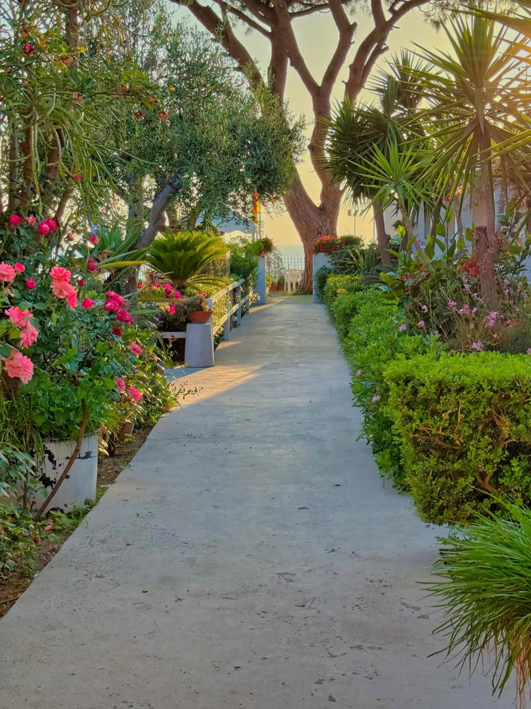 Inner courtyard view in Pensione Villa Mena
