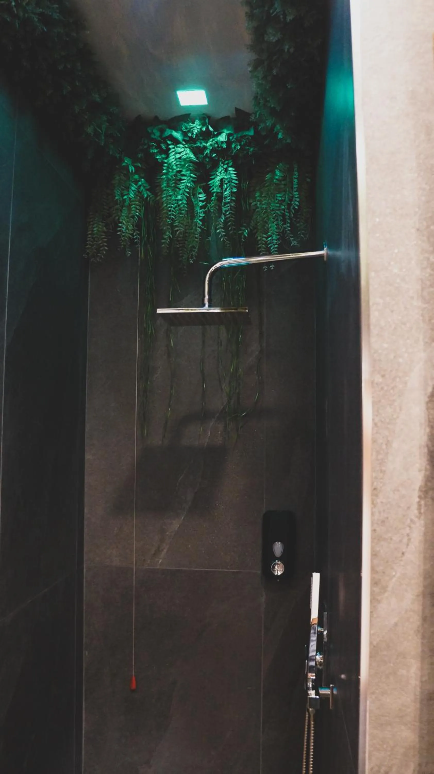 Shower in Meeting Hotel