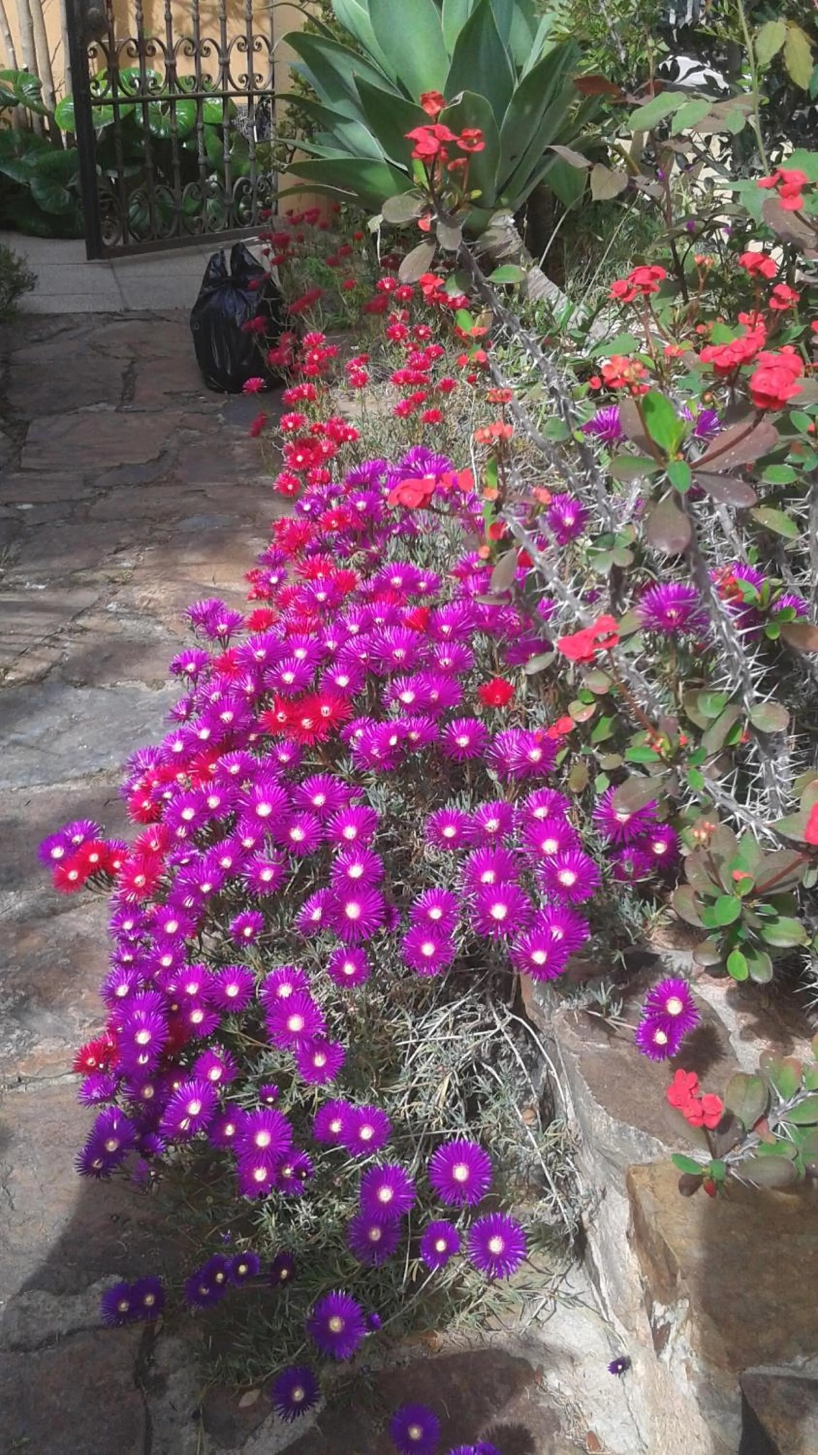 Bed and Breakfast Su Niu