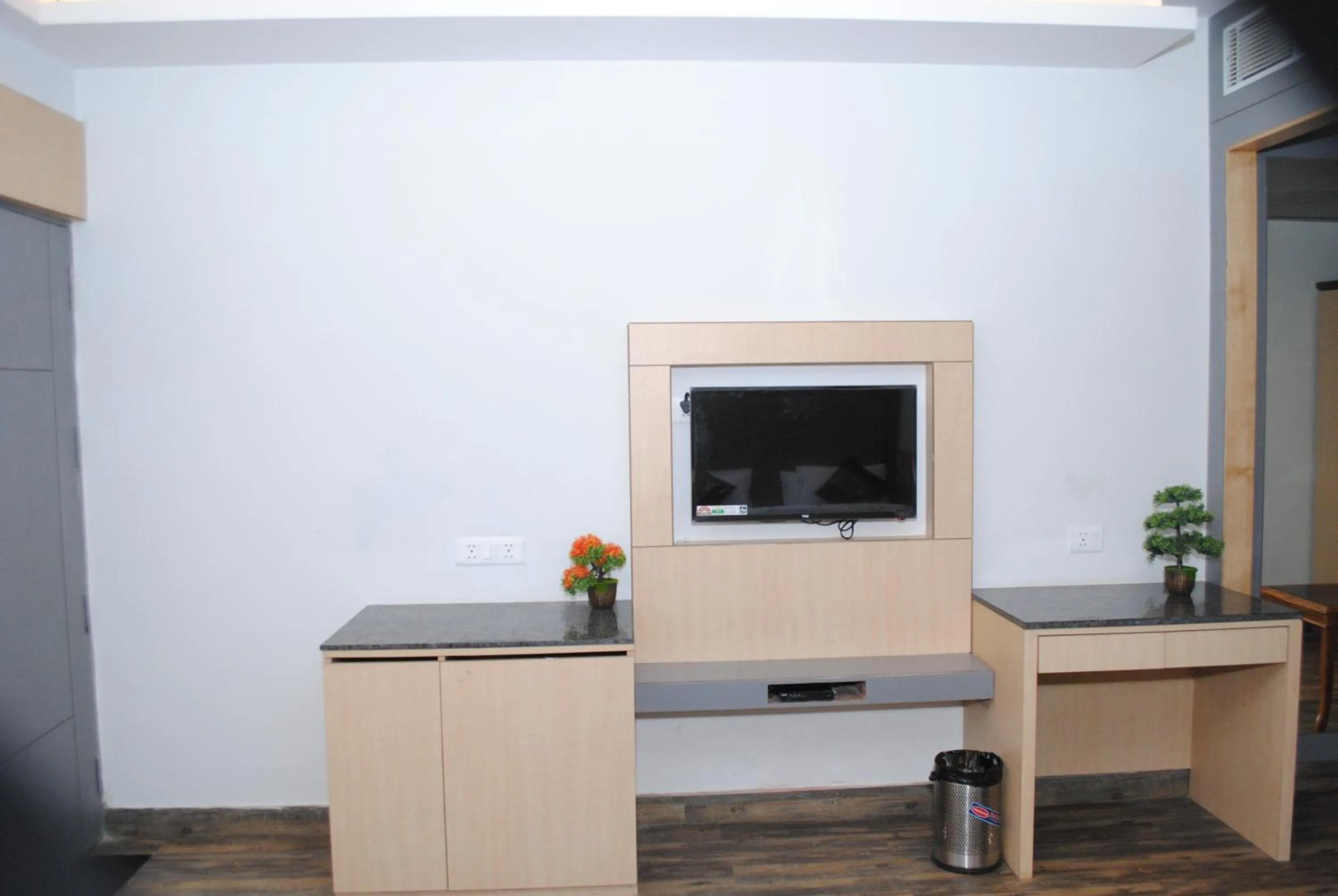 TV and multimedia in Hotel Superb 5 Mins Walk From New Delhi Station