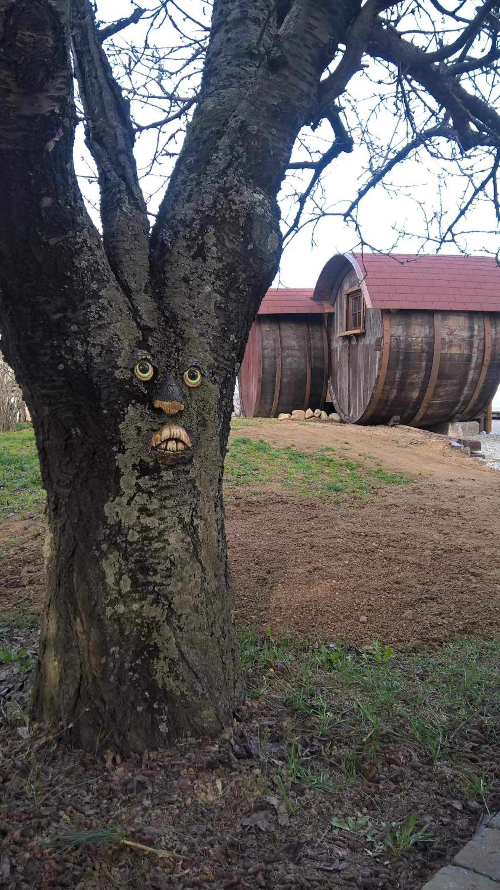 Natural landscape in B&B Pervinca