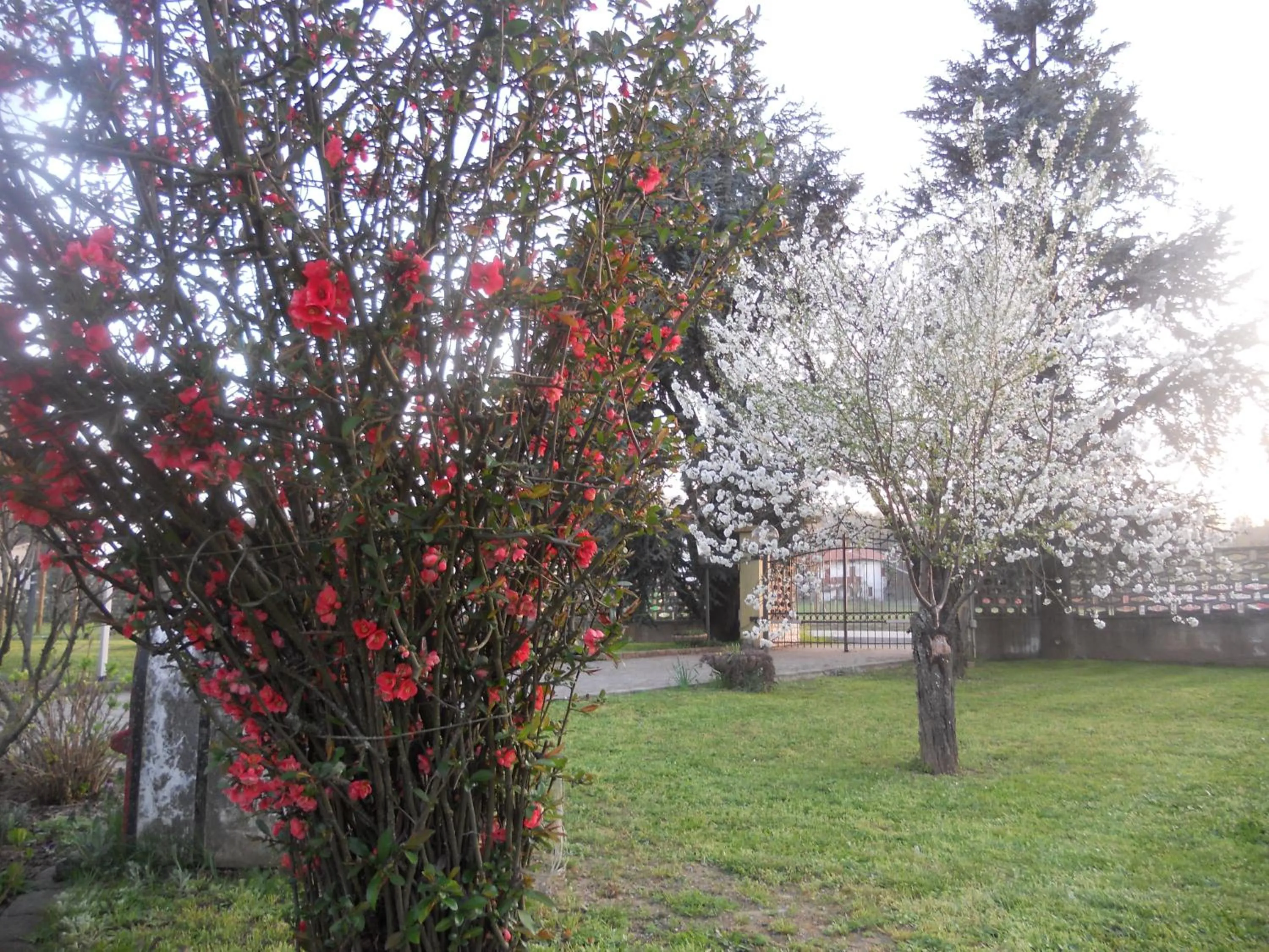 Spring in B&B Pervinca