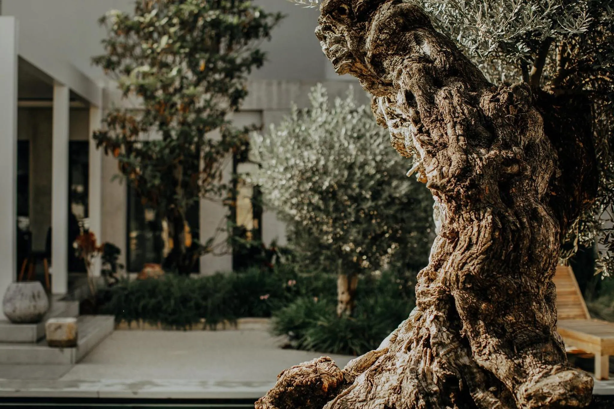 Garden in Bernadet Alaçatı