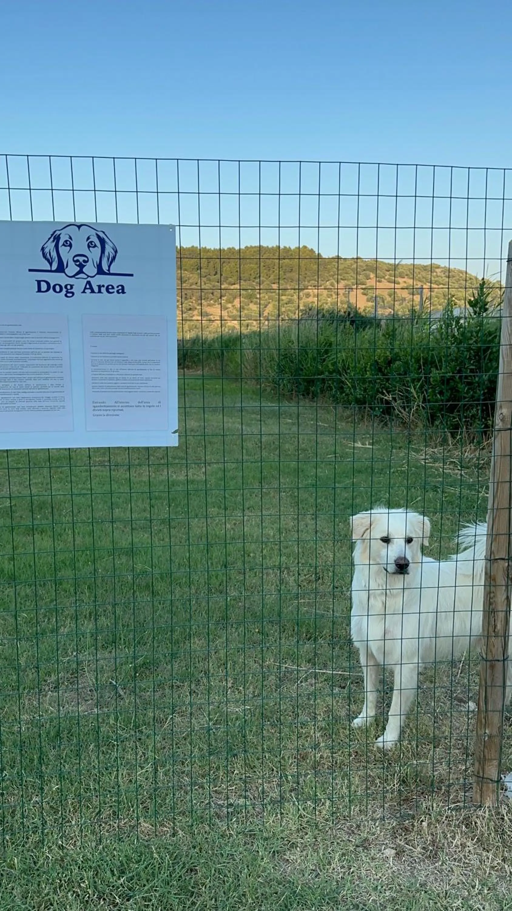 Pets in Residence Il Falco