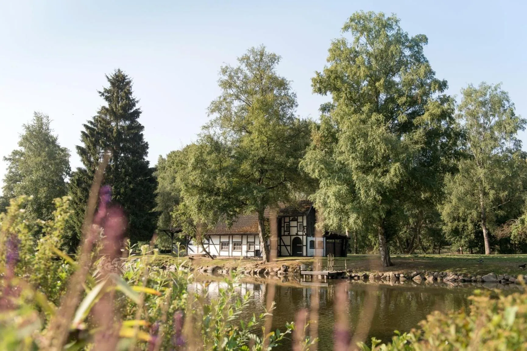 Lake view in Forsthaus Seebergen