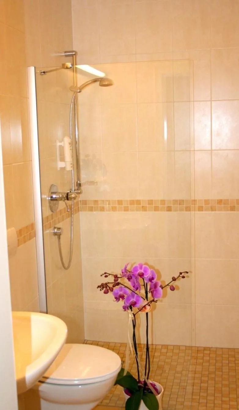 Shower in Forsthaus Seebergen