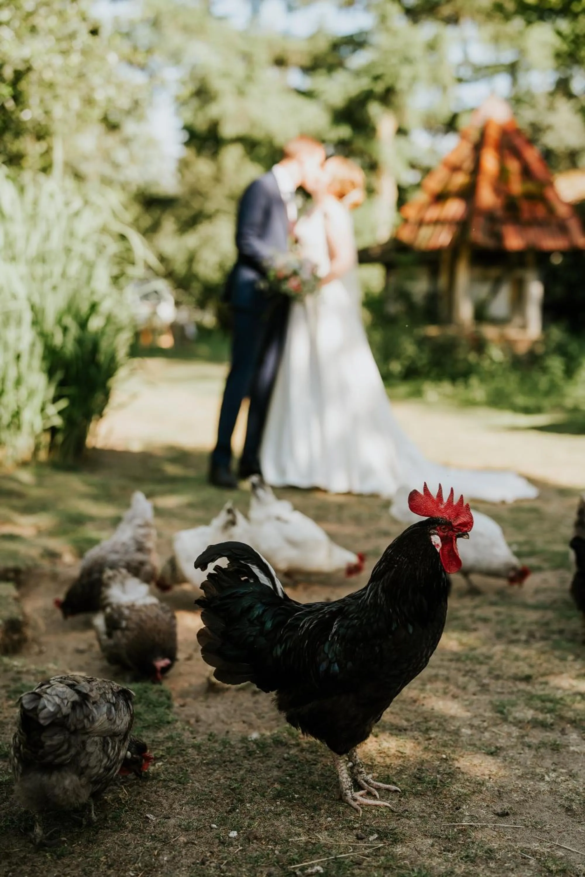 Animals in Forsthaus Seebergen