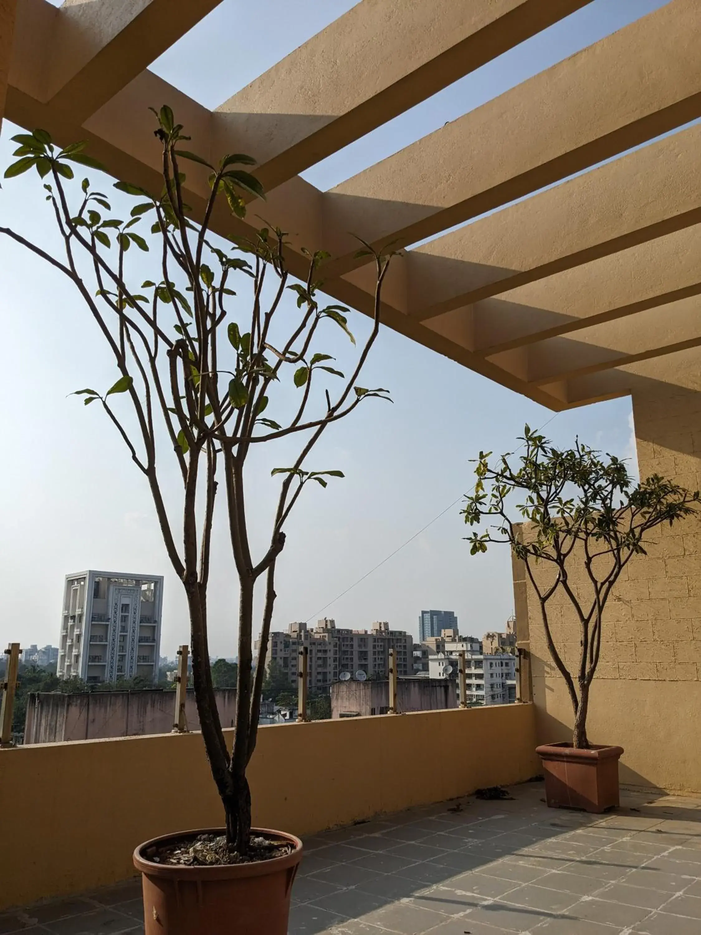 Property building in Magnus Star Residency Koregaon Park Annexe Property building in Magnus Star Residency Koregaon Park Annexe