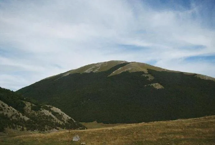 Agriturismo Fiore
