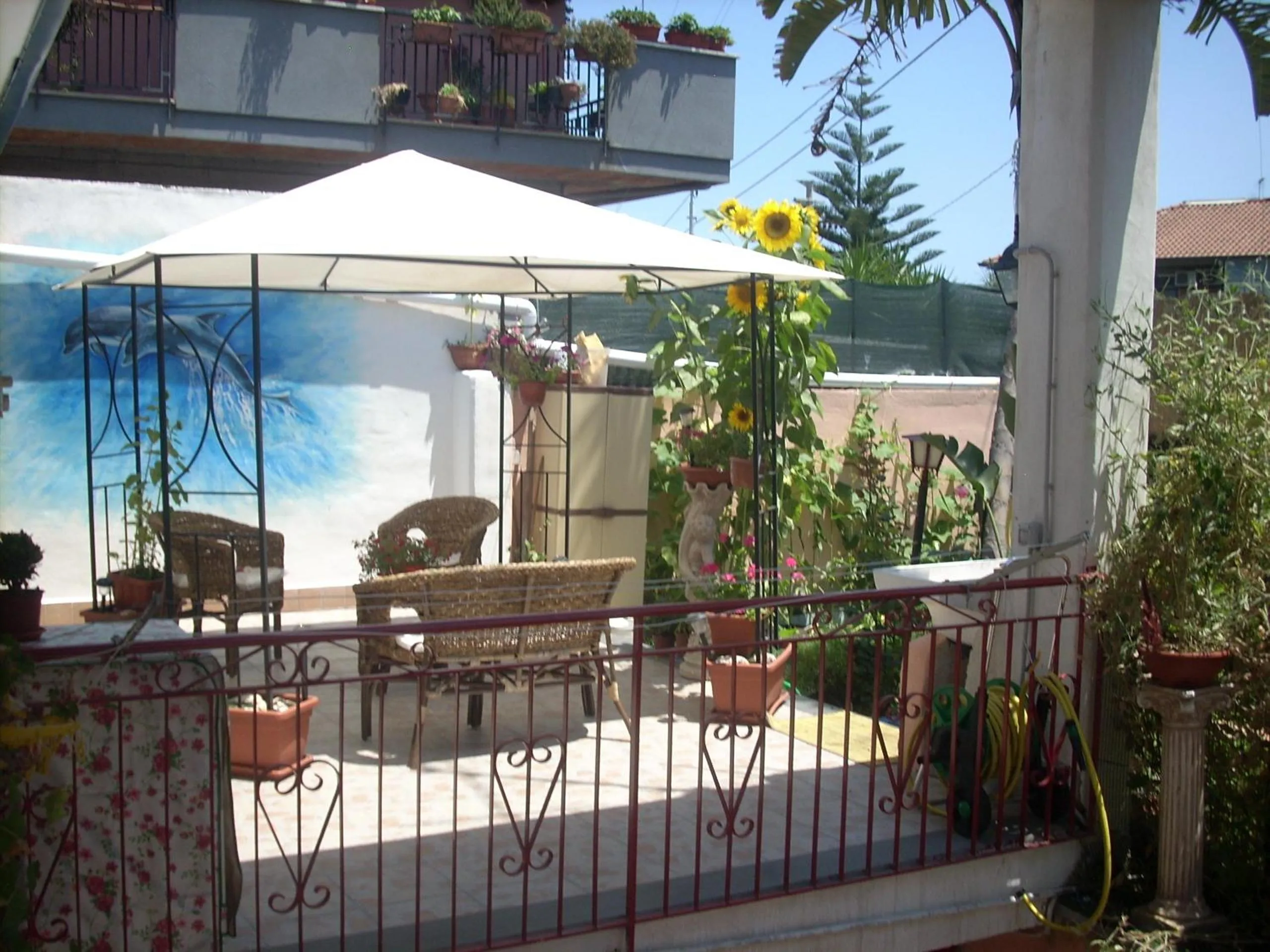 Garden in Beb I Delfini Di Casa Paola