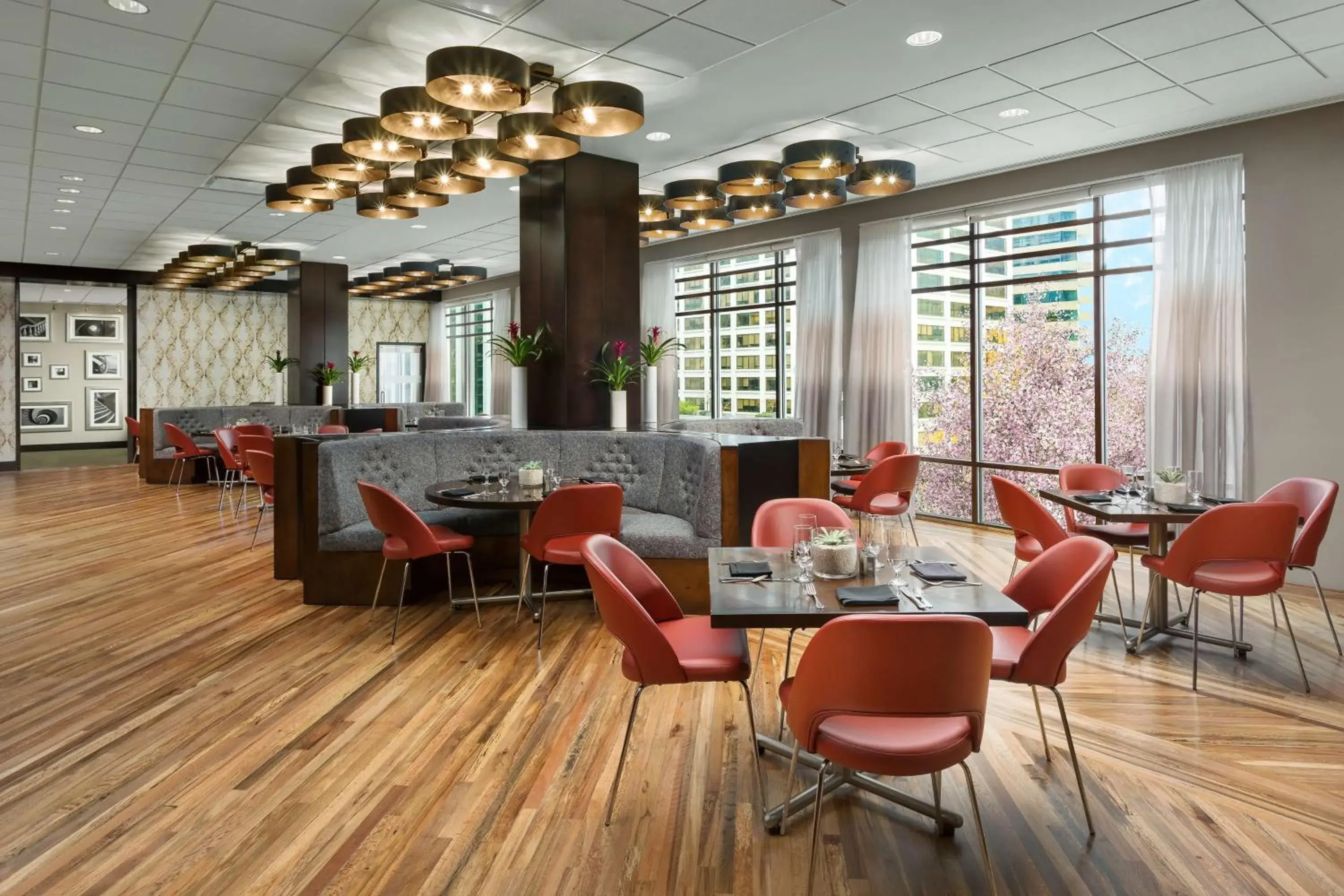 Lounge or bar in Hyatt Centric Arlington Lounge or bar in Hyatt Centric Arlington