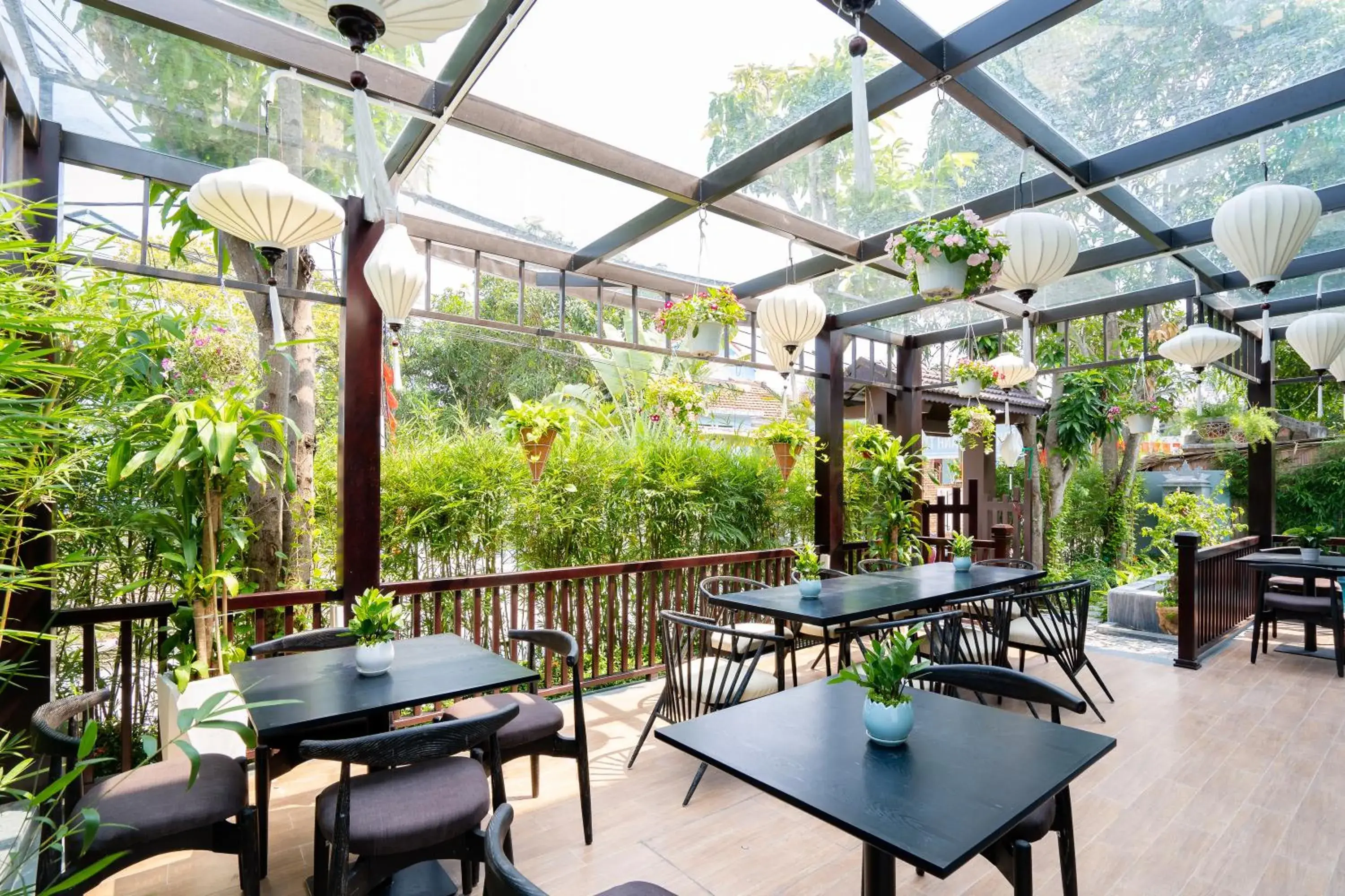 Restaurant/places to eat in Daisy An Bang Villa Restaurant/places to eat in Daisy An Bang Villa