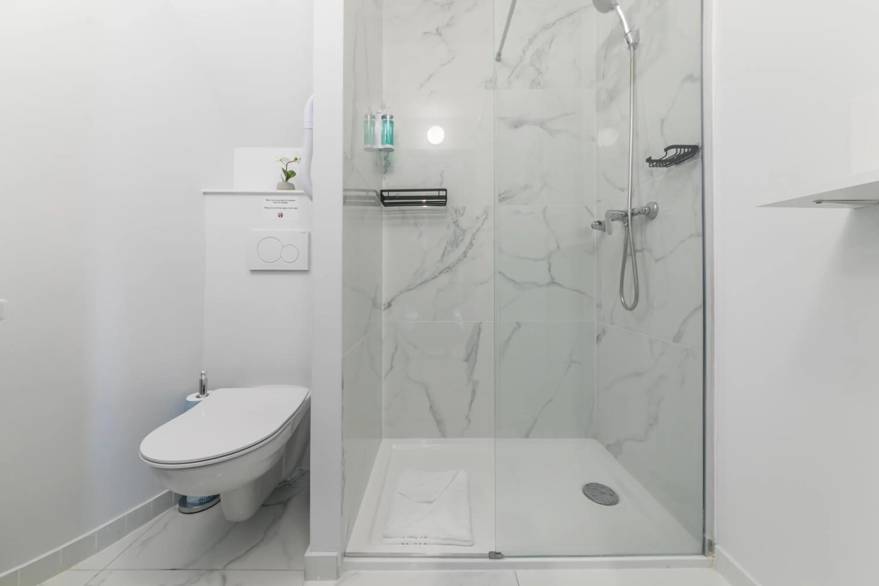 Shower in WS Louvre - Richelieu