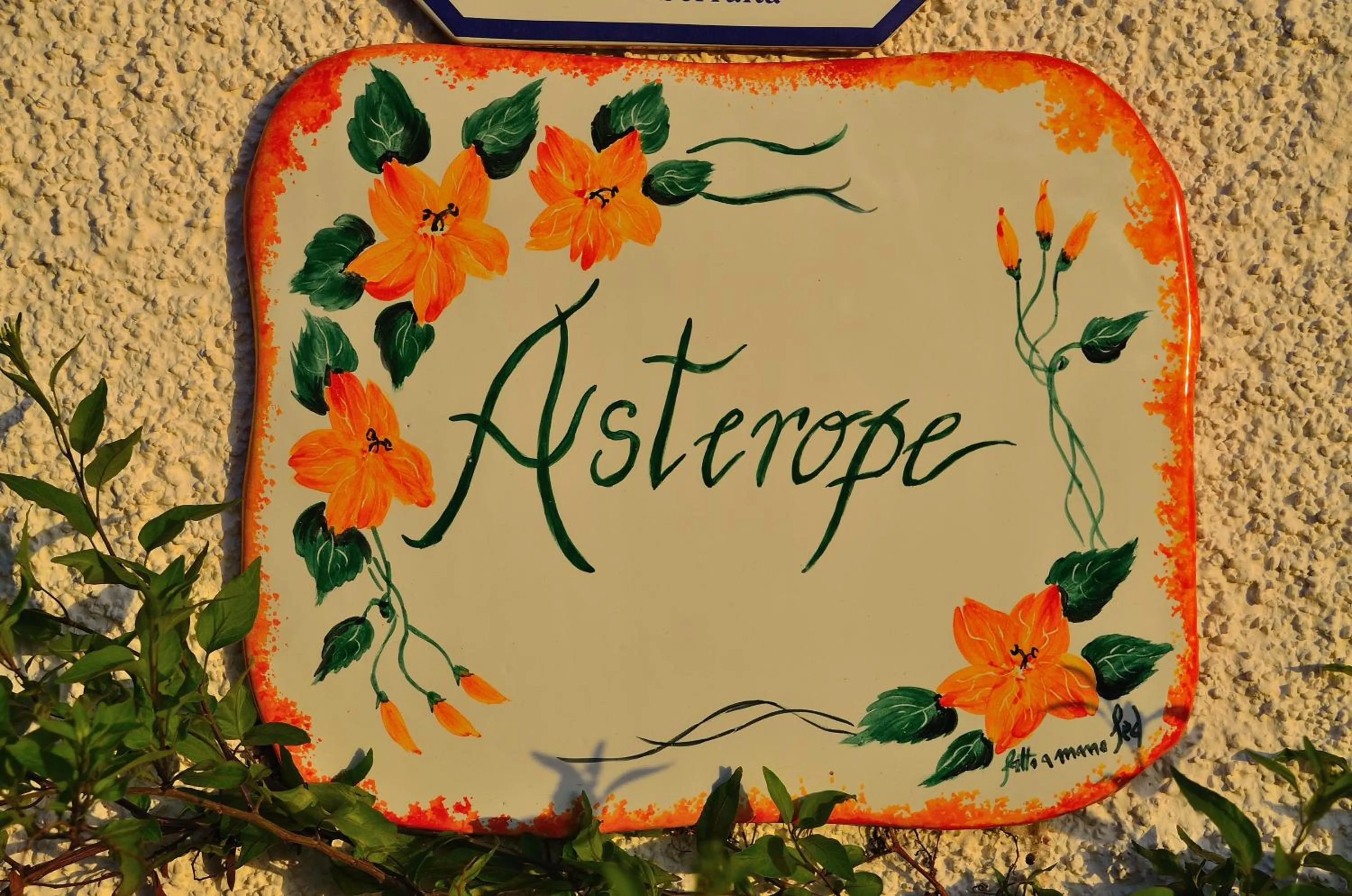 Decorative detail in Luce Stellata