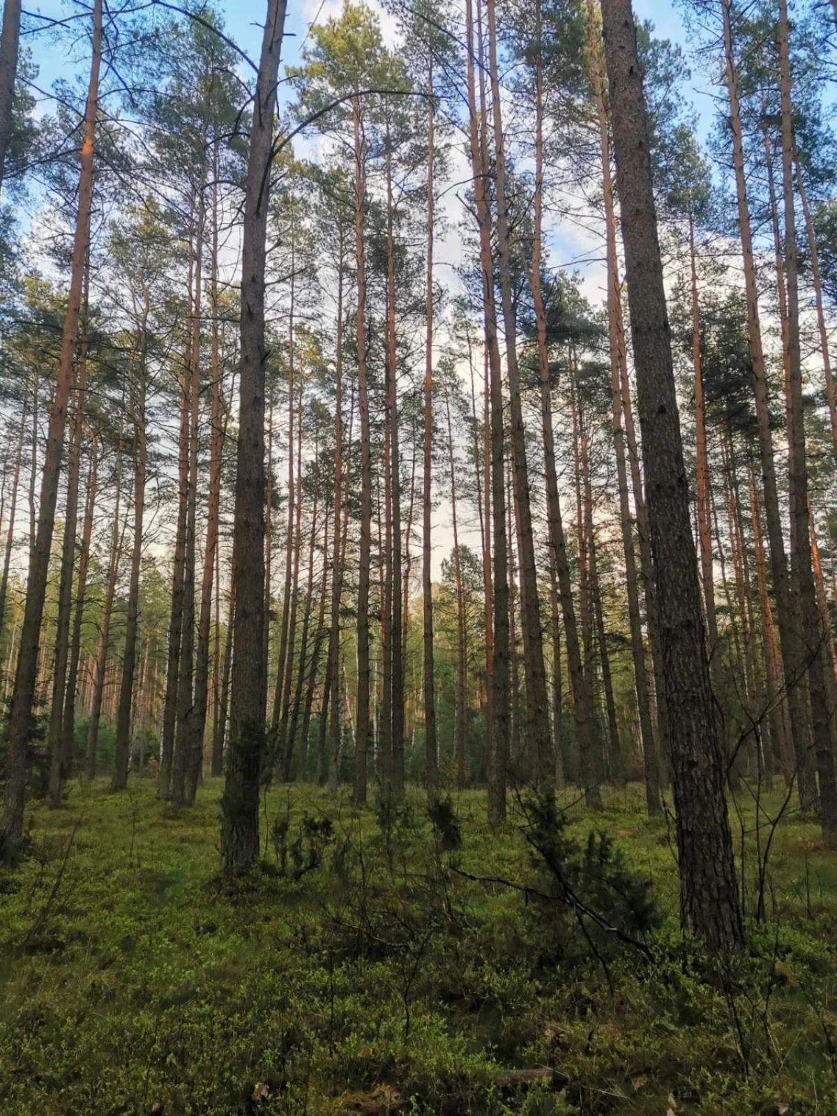 Spring in Pensjonat Zakątek