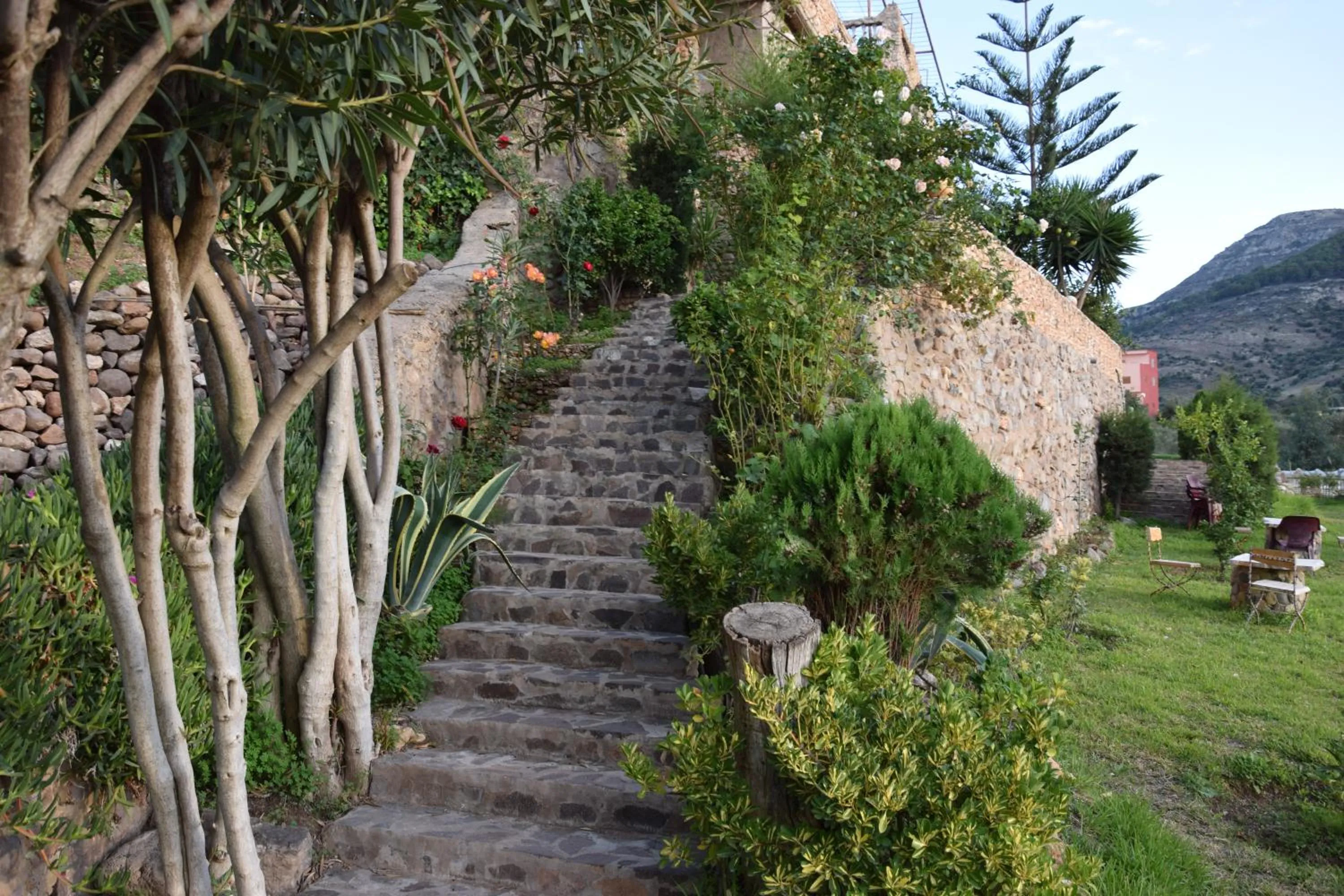 Garden in Hotel Leonor