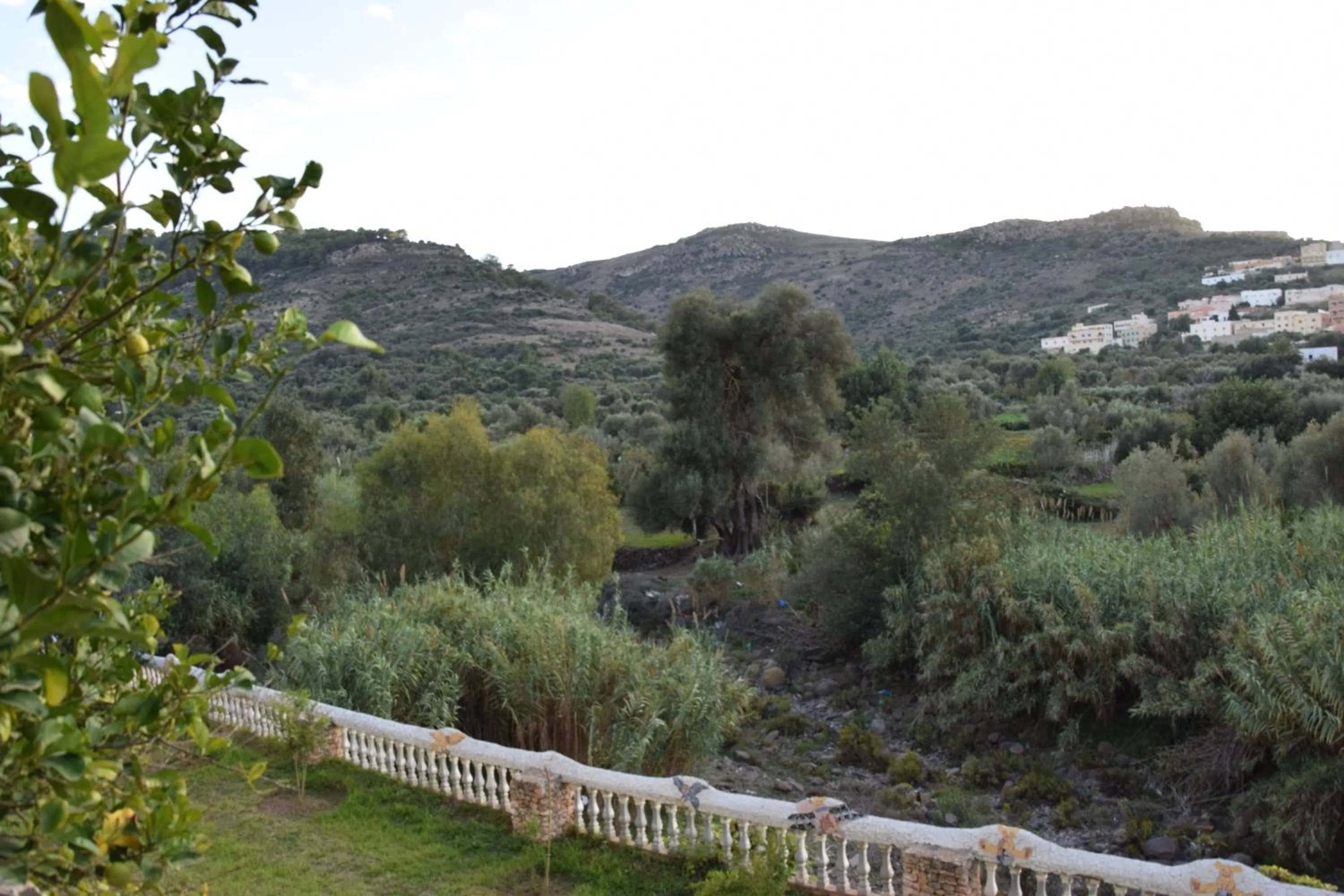 Natural landscape in Hotel Leonor