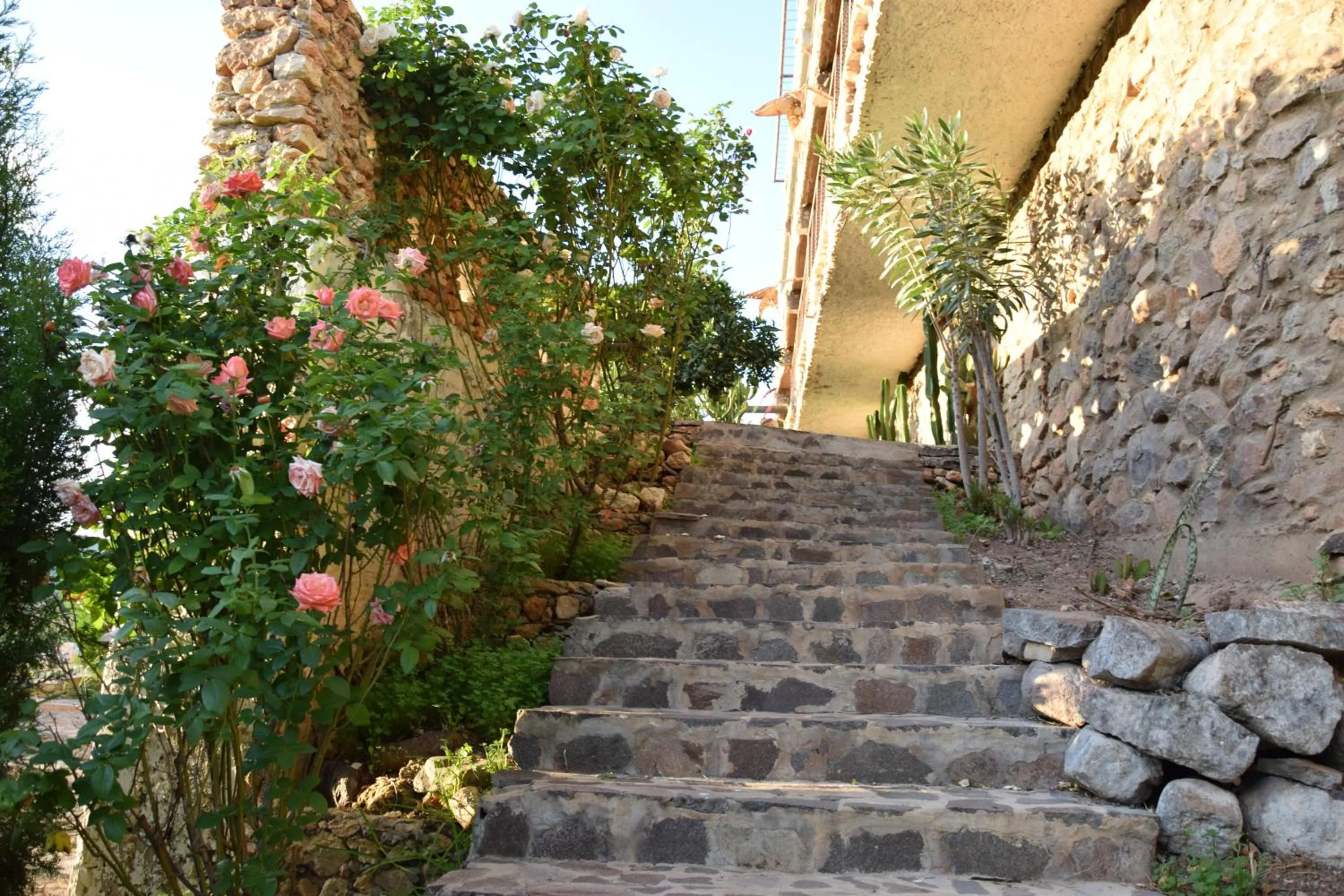 Garden in Hotel Leonor