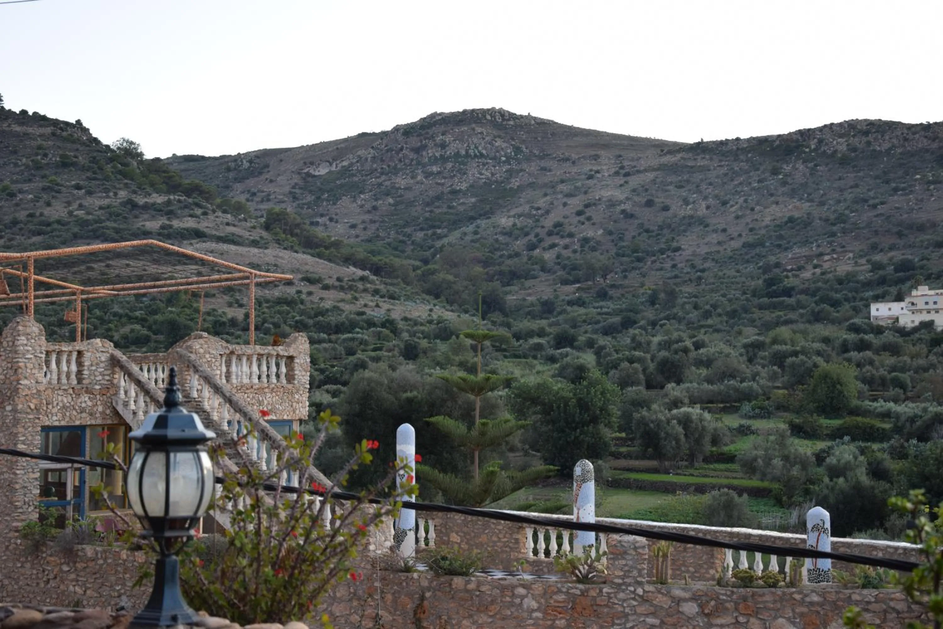 Balcony/Terrace in Hotel Leonor