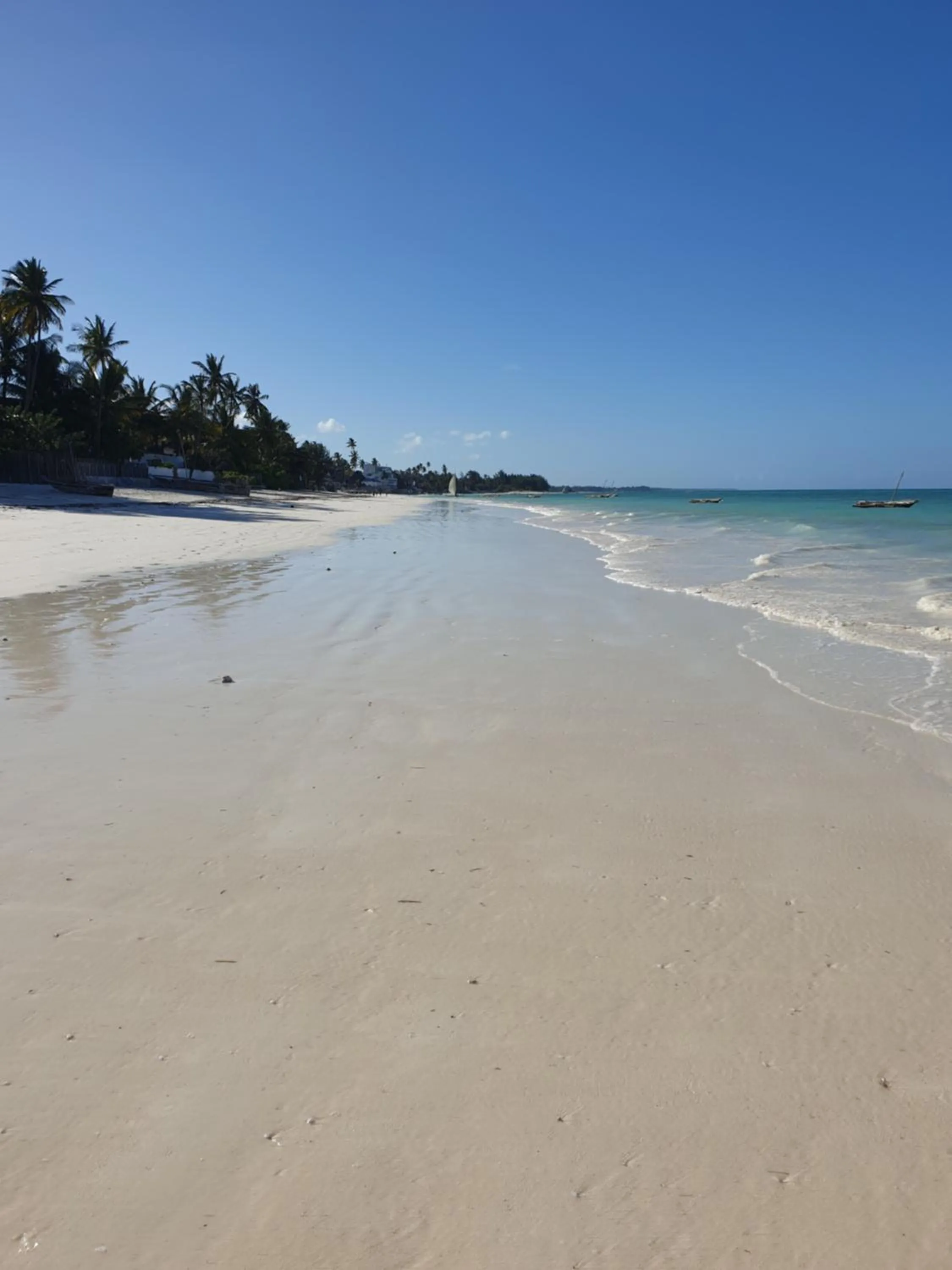 Beach in Gadea Boutique Hotel& Gadea Garden Italian Restaurant