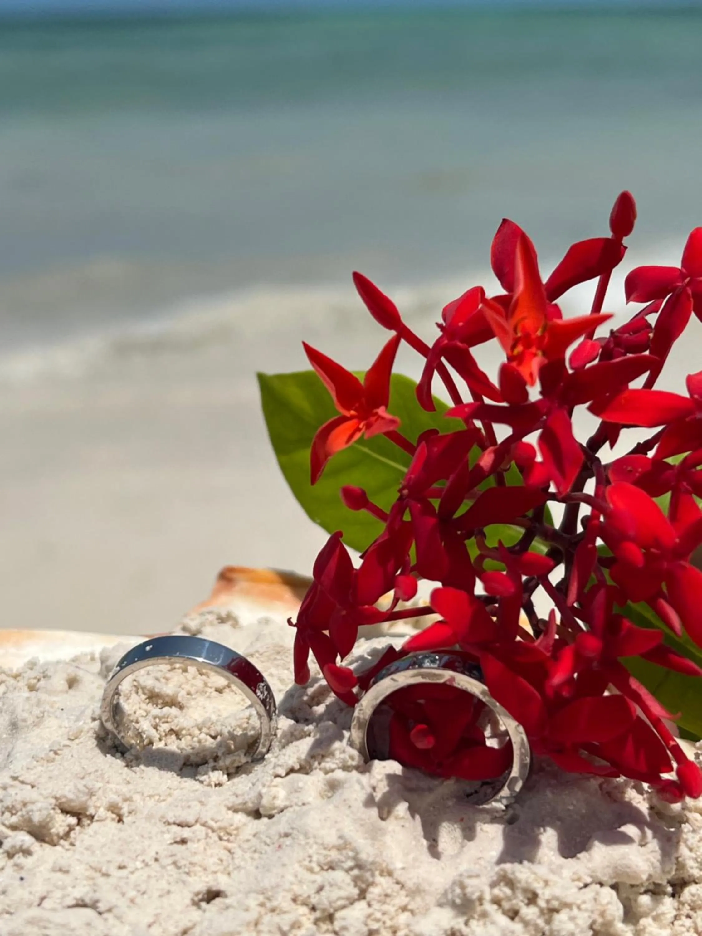 Natural landscape in Gadea Boutique Hotel& Gadea Garden Italian Restaurant