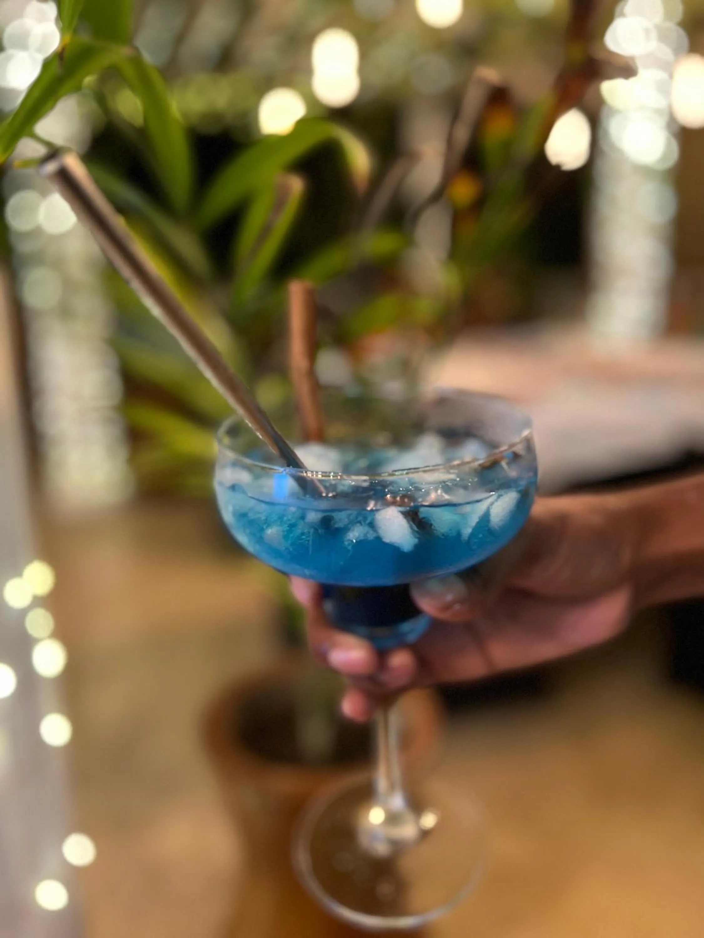 Drinks in Gadea Boutique Hotel& Gadea Garden Italian Restaurant