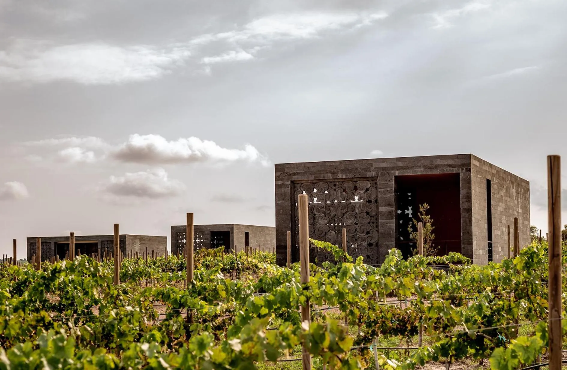 Property building in Casa Raíces Hotel Luxury & Viñedo