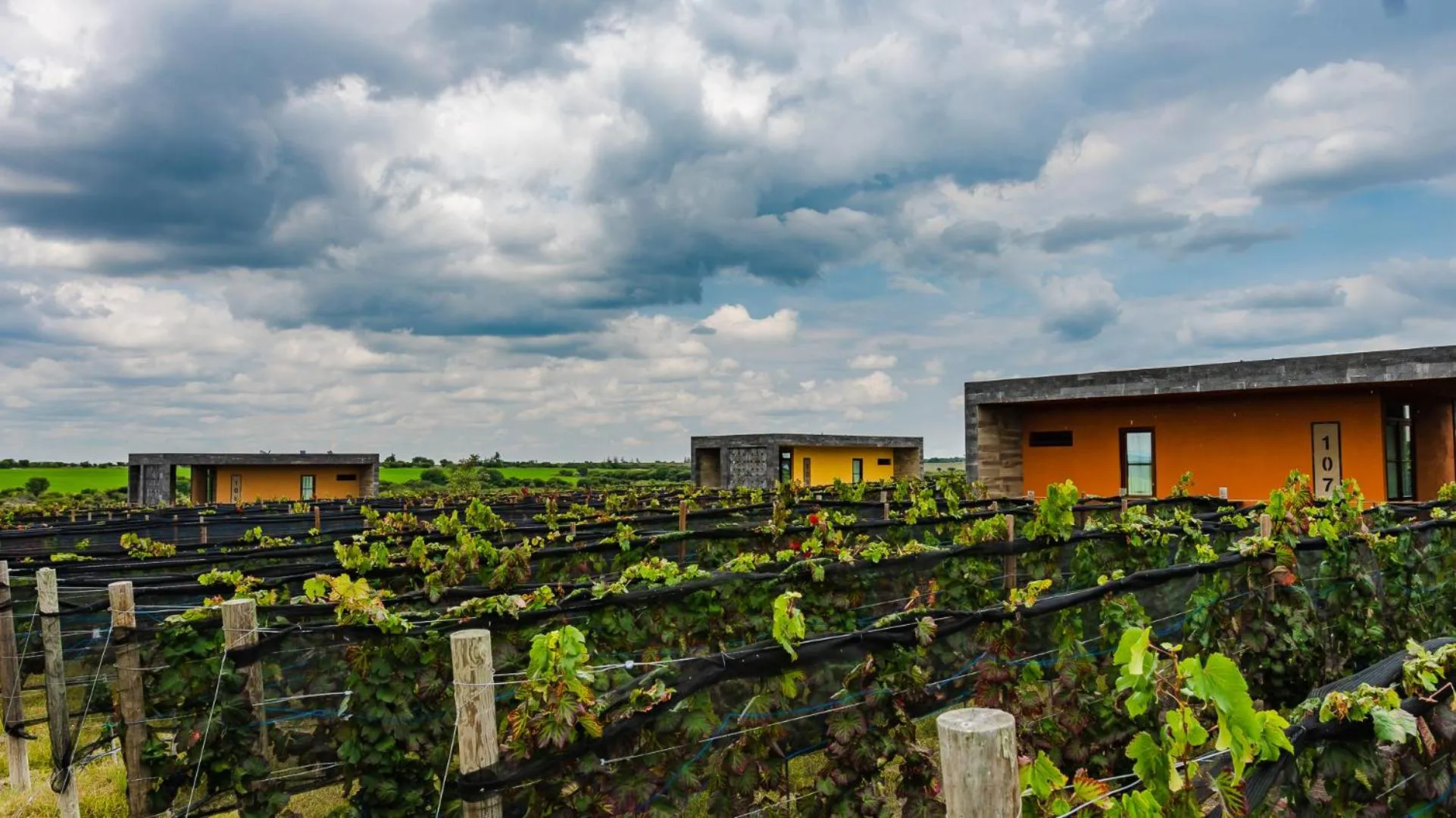 Property building in Casa Raíces Hotel Luxury & Viñedo