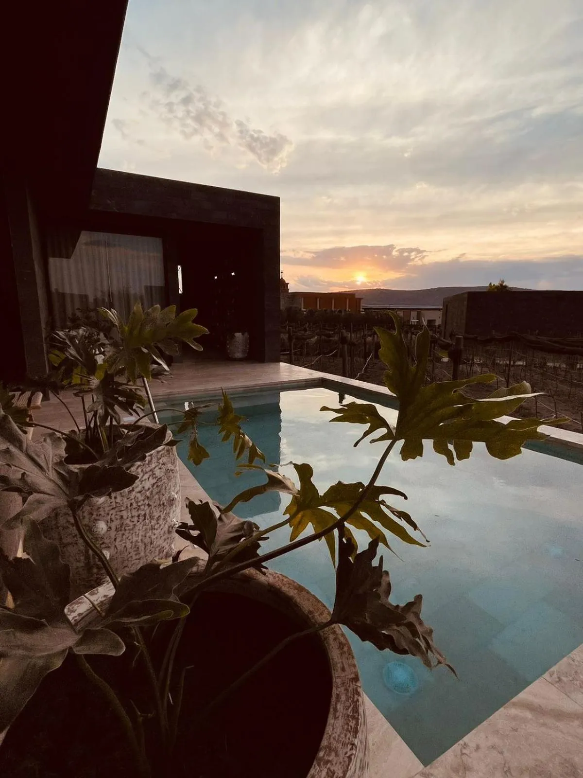 Swimming pool in Casa Raíces Hotel Luxury & Viñedo